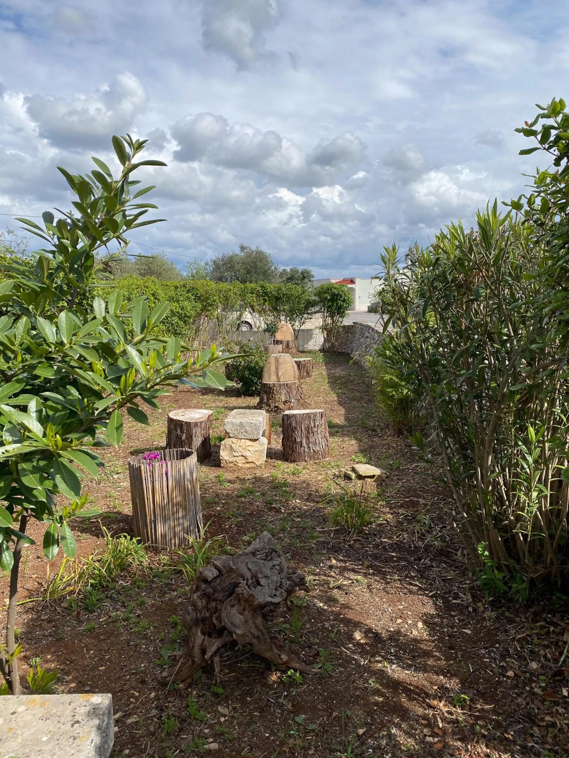 Garden in Trullo Pinto