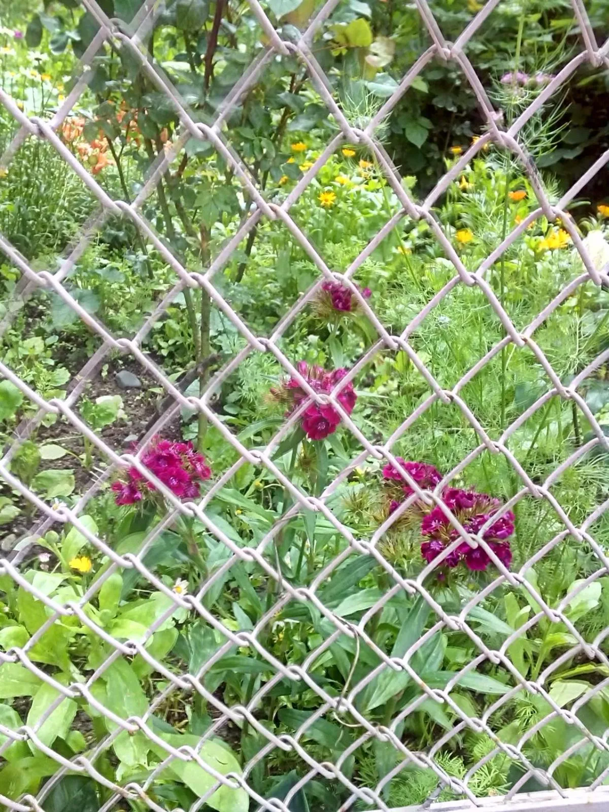 Property building in ARTSIV Guesthouse