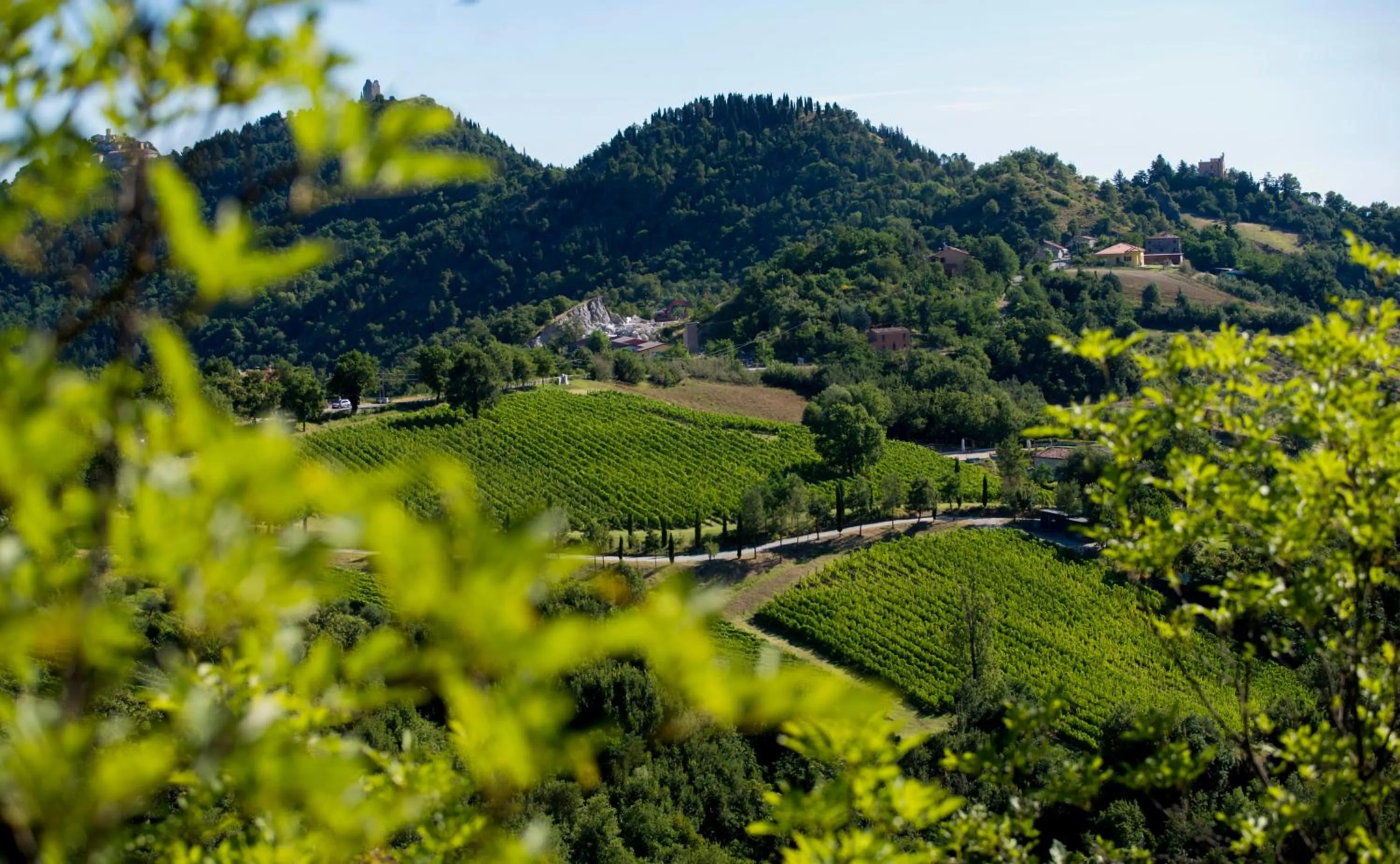 Property building in Tenuta Saiano Resort