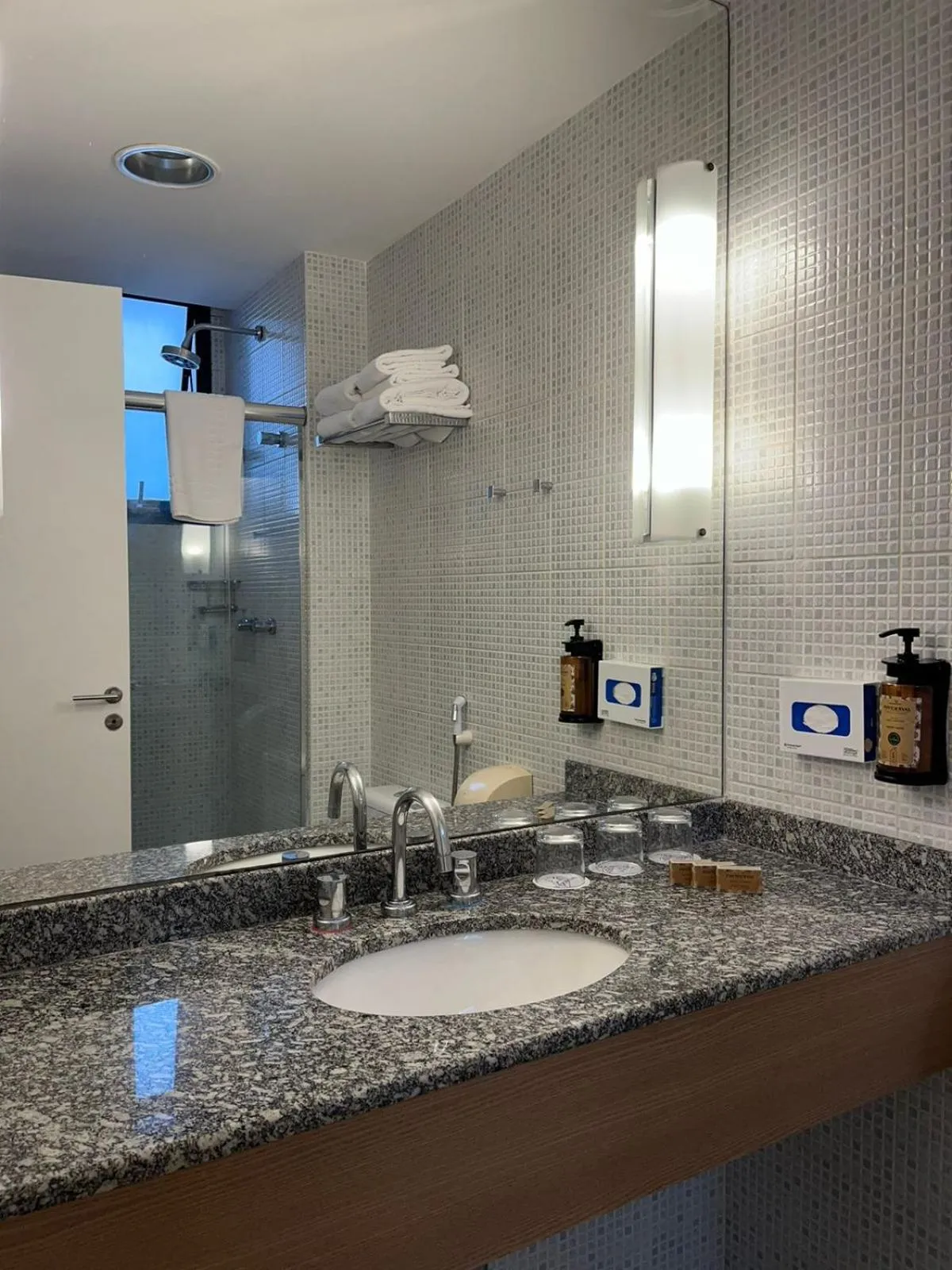 Bathroom in Mercure São Paulo Nações Unidas