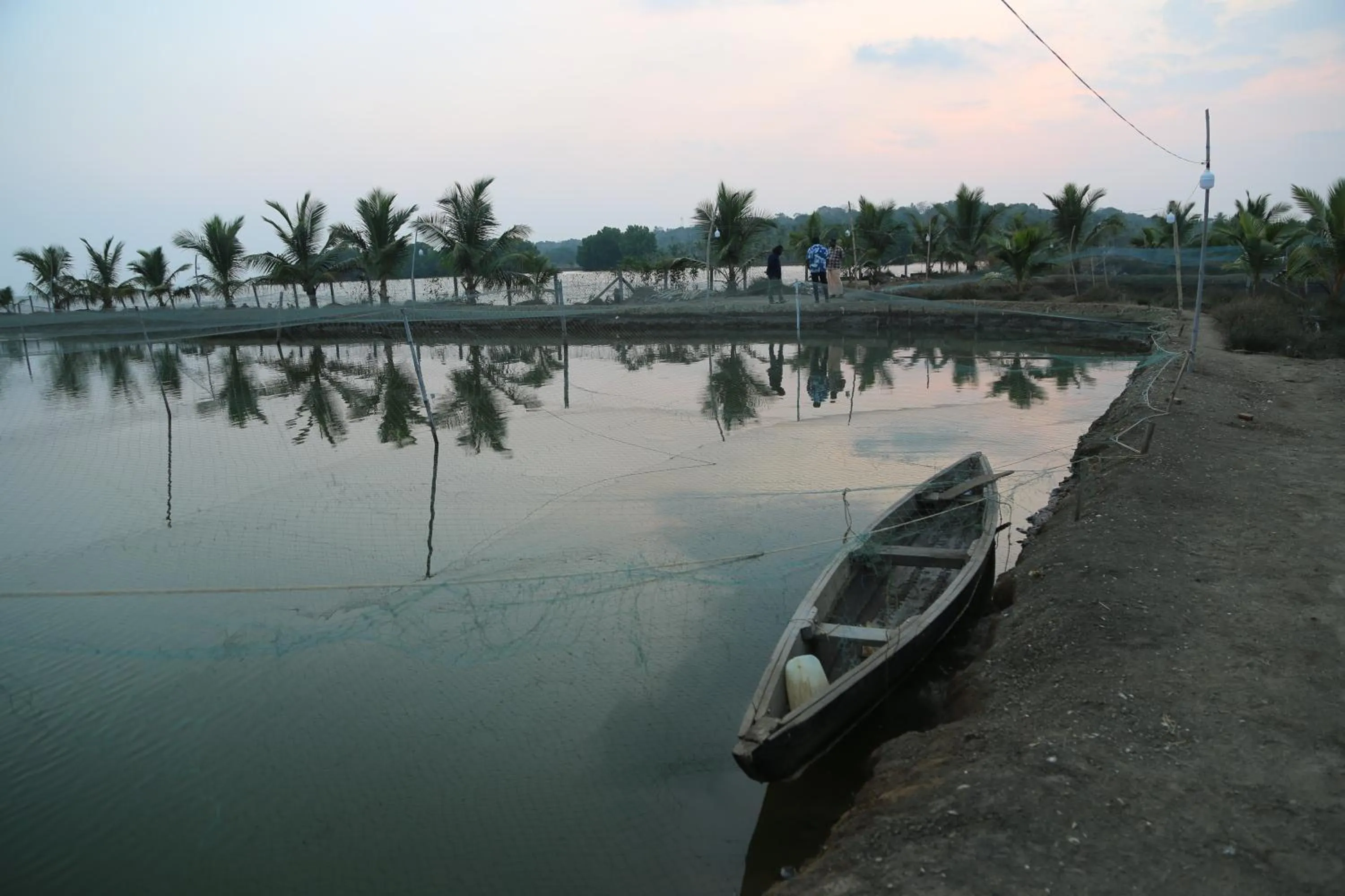 Day in Kandal Theeram Farms