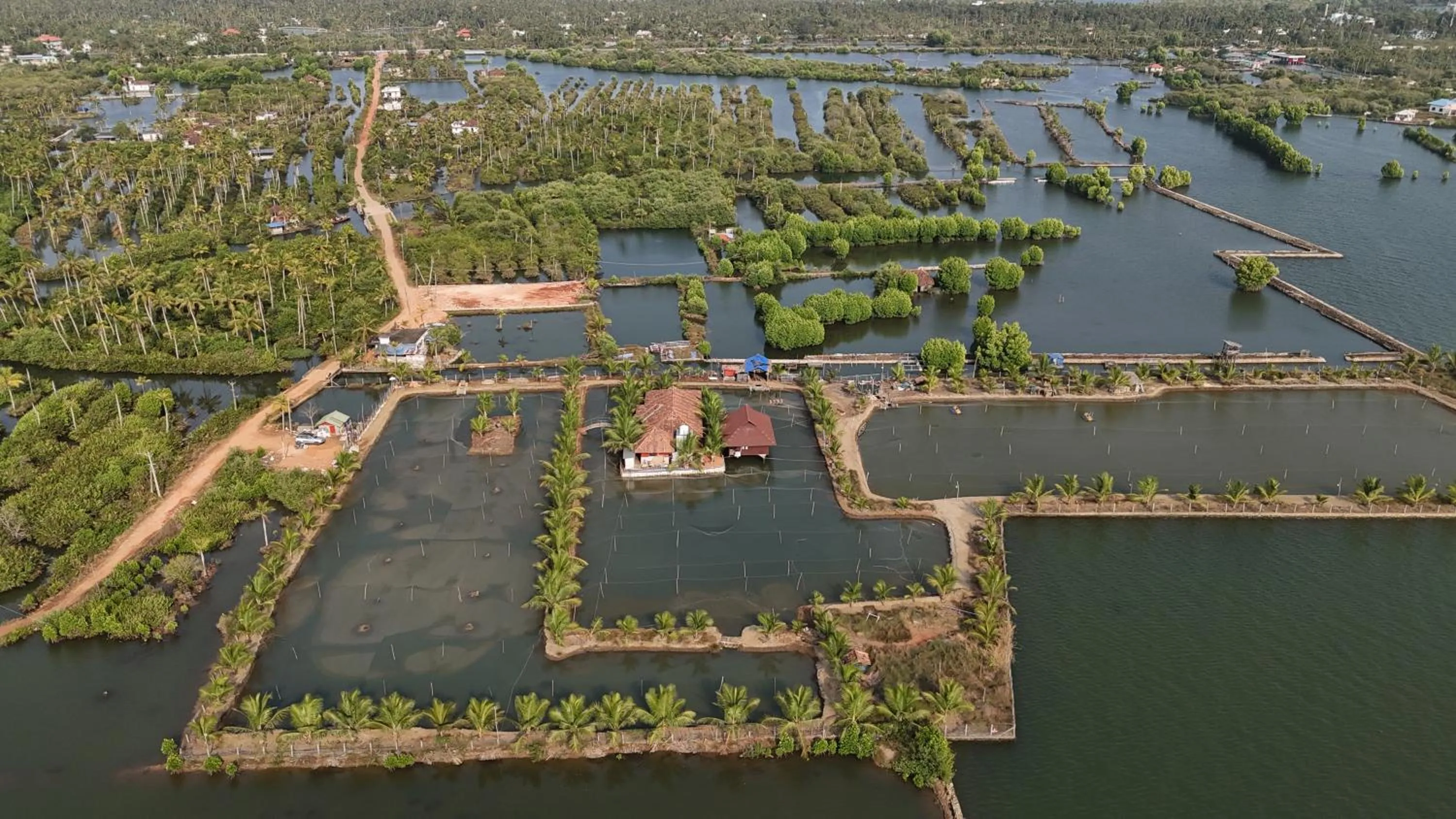 Natural landscape in Kandal Theeram Farms