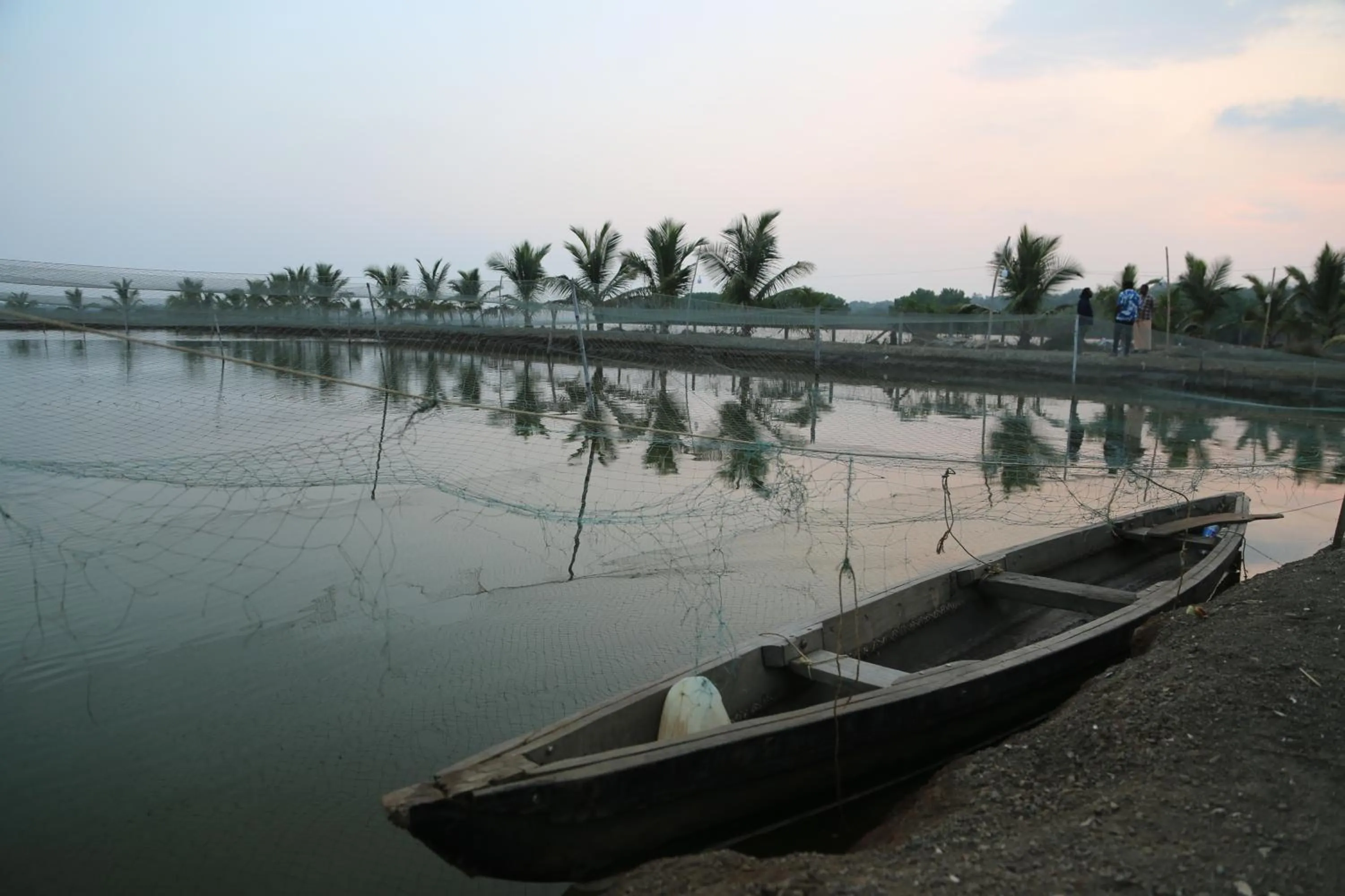 Day in Kandal Theeram Farms