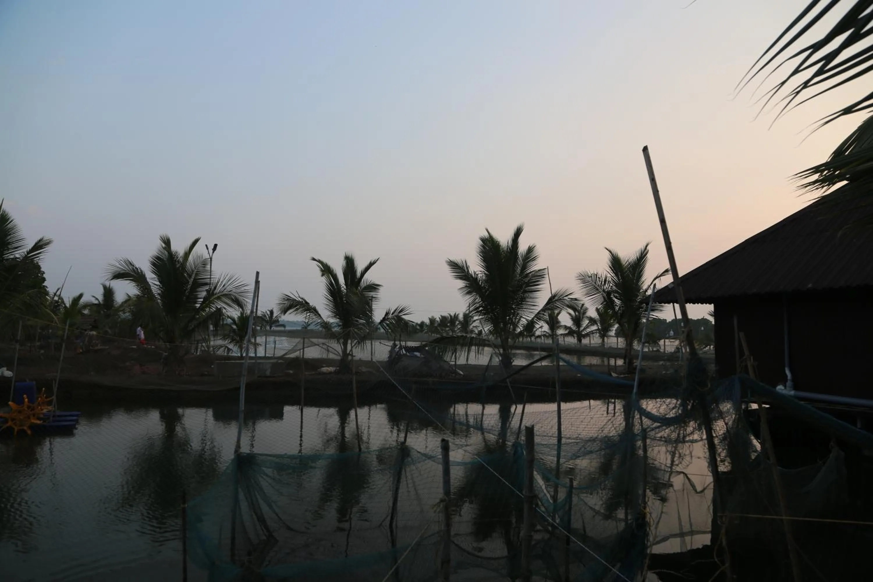 Day in Kandal Theeram Farms