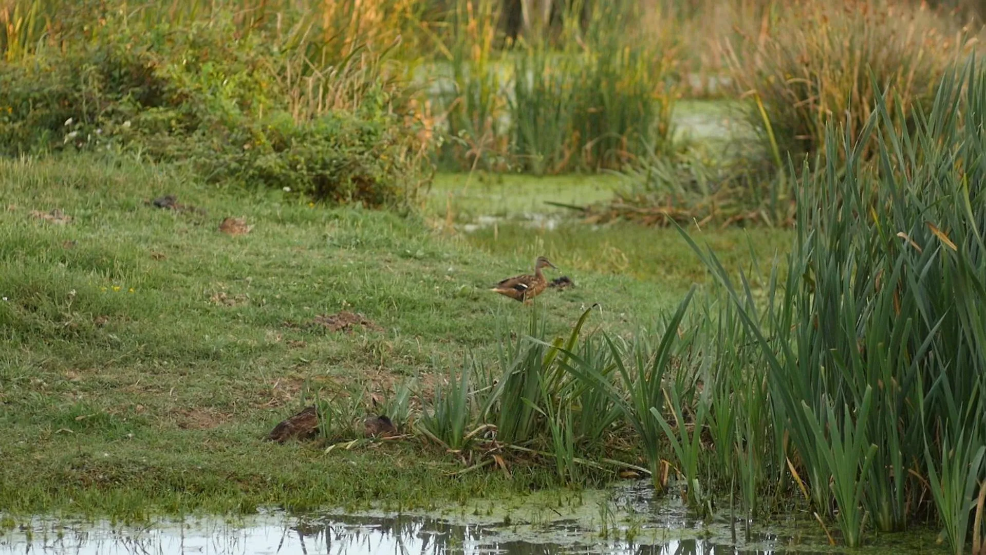 Day in Hotel Castell Blanc