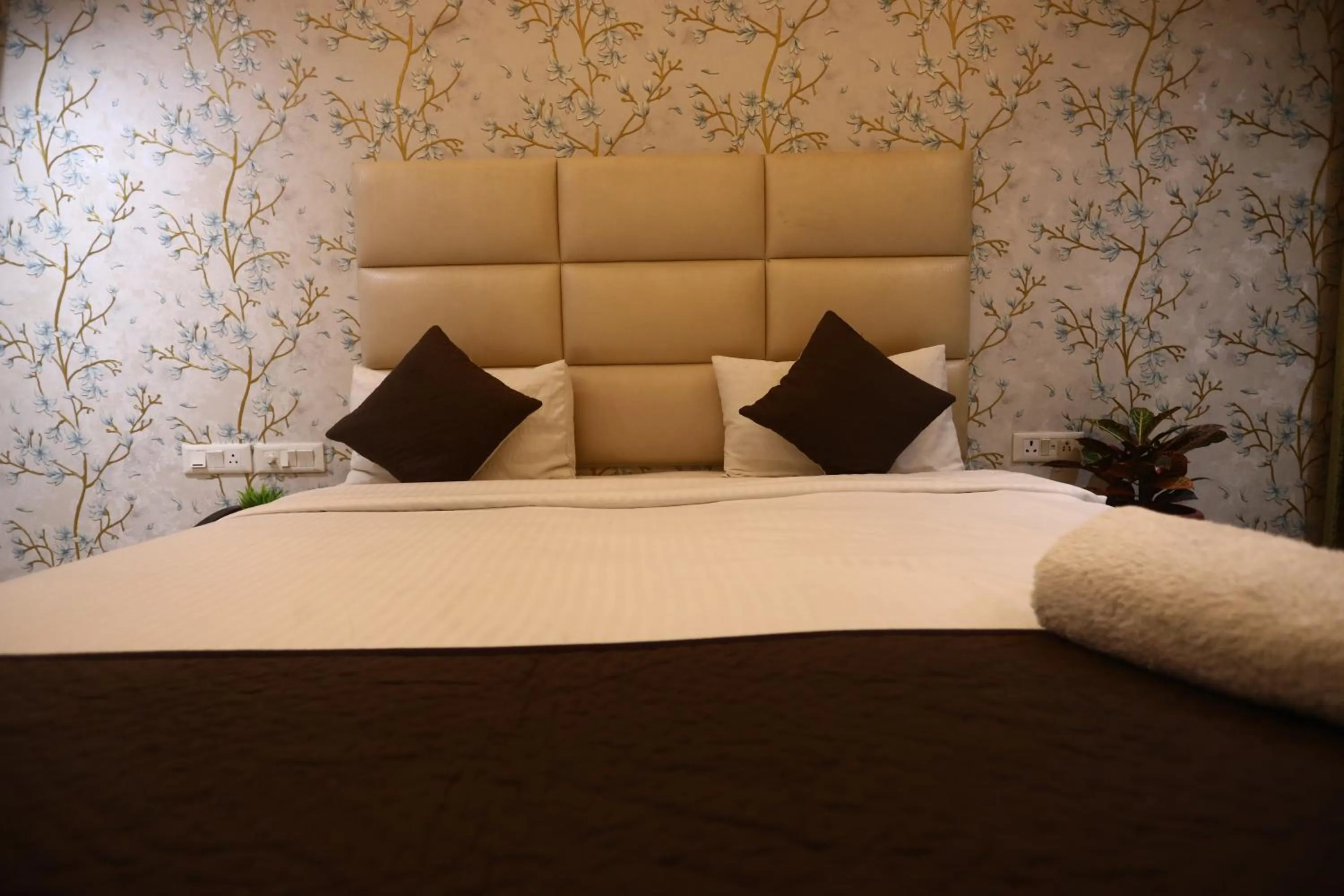 Bed in The Bed And Rock Kalkaji