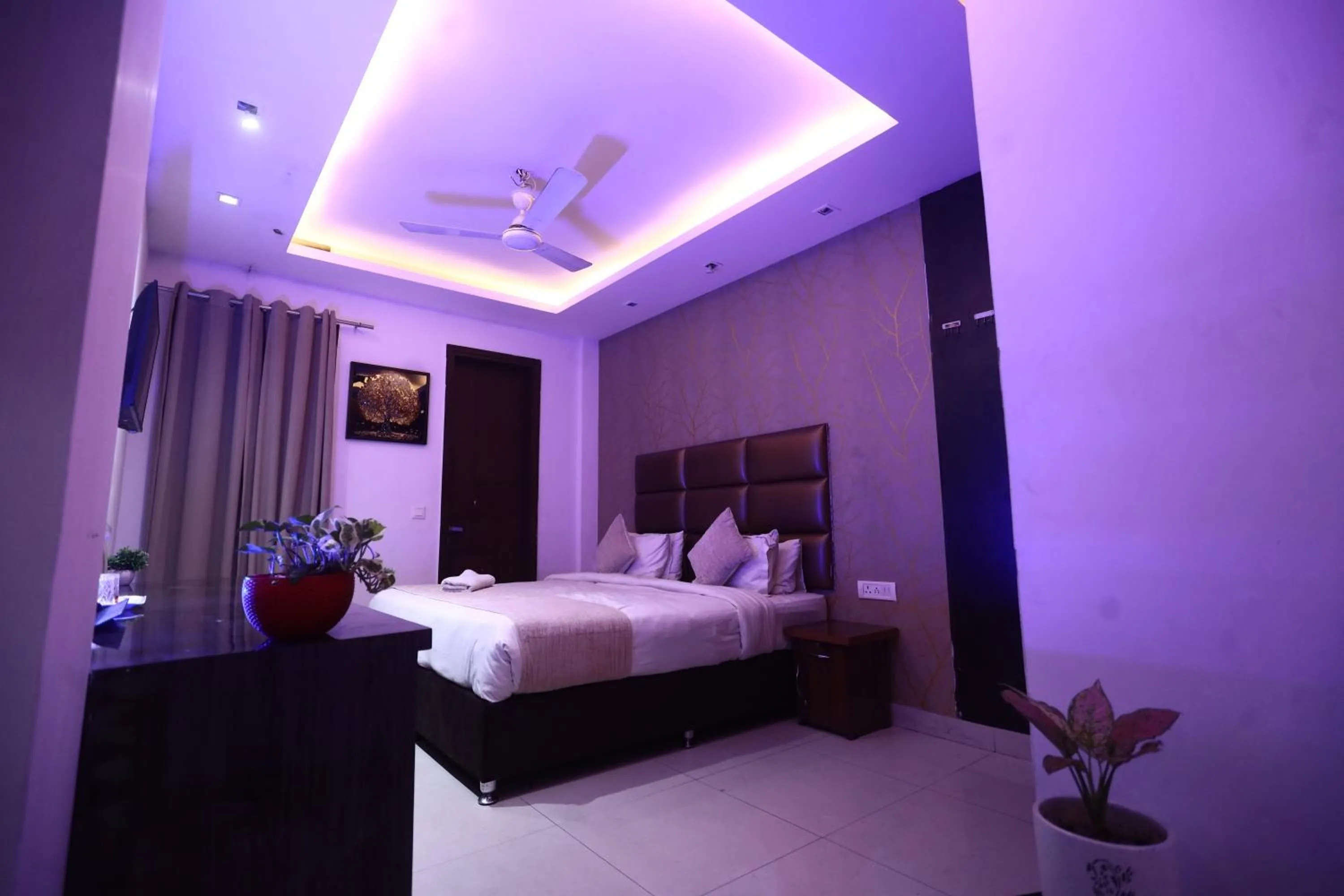 Bed in The Bed And Rock Kalkaji