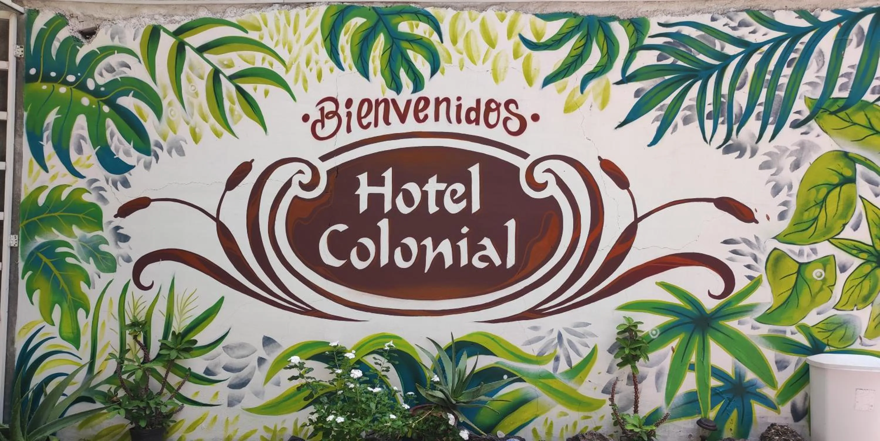 Hotel Colonial