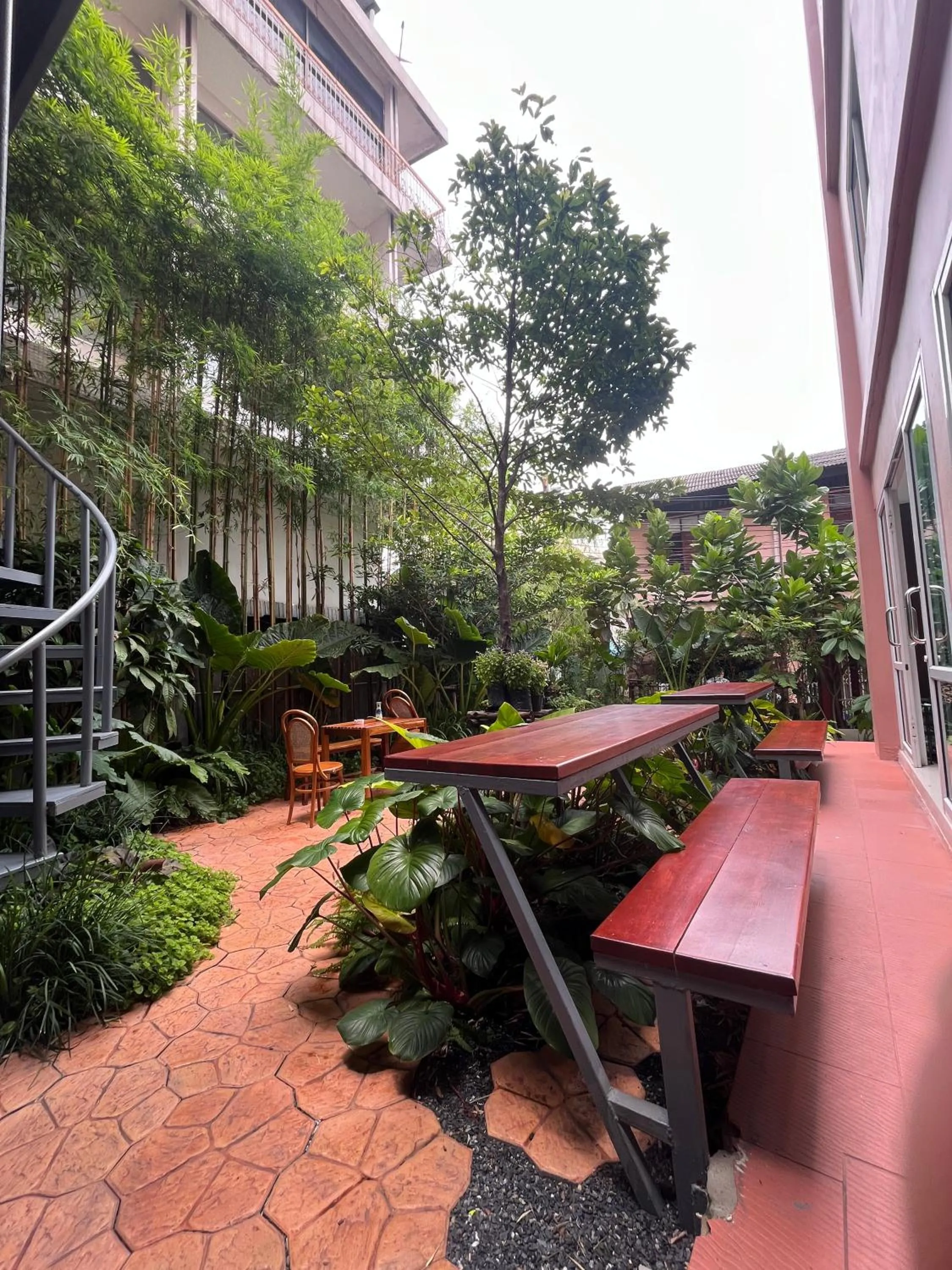 Garden in Bonita House