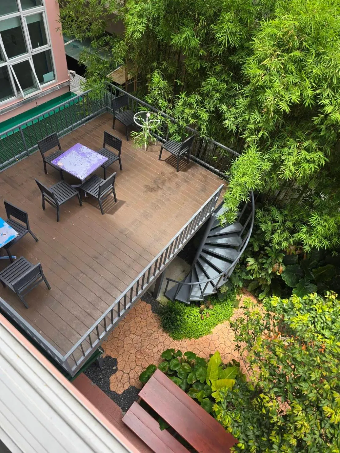 Garden in Bonita House