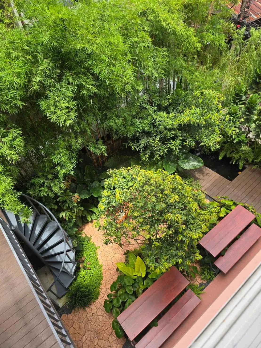 Garden in Bonita House