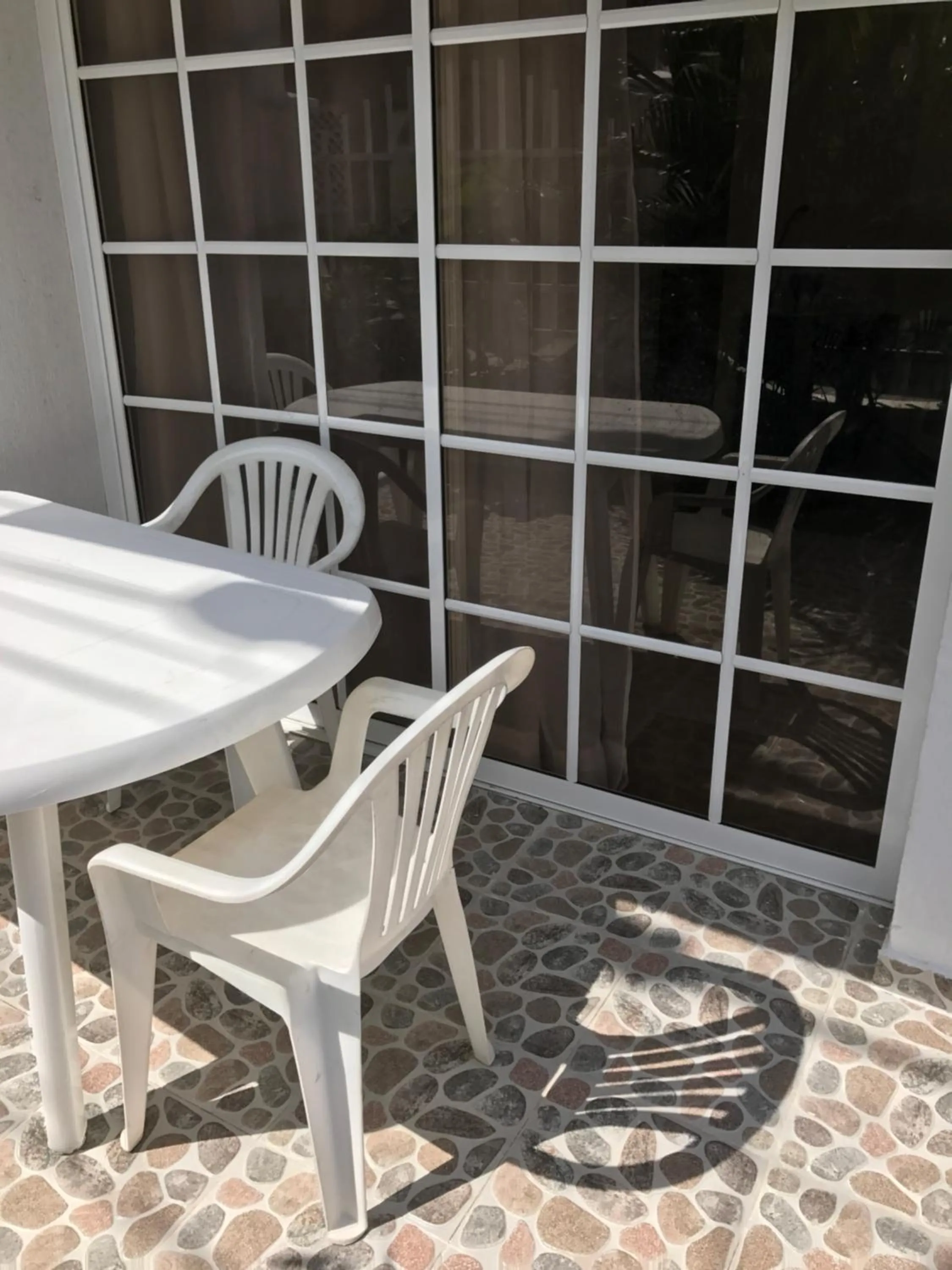 Garden view in Posada Vasquez Oviedo