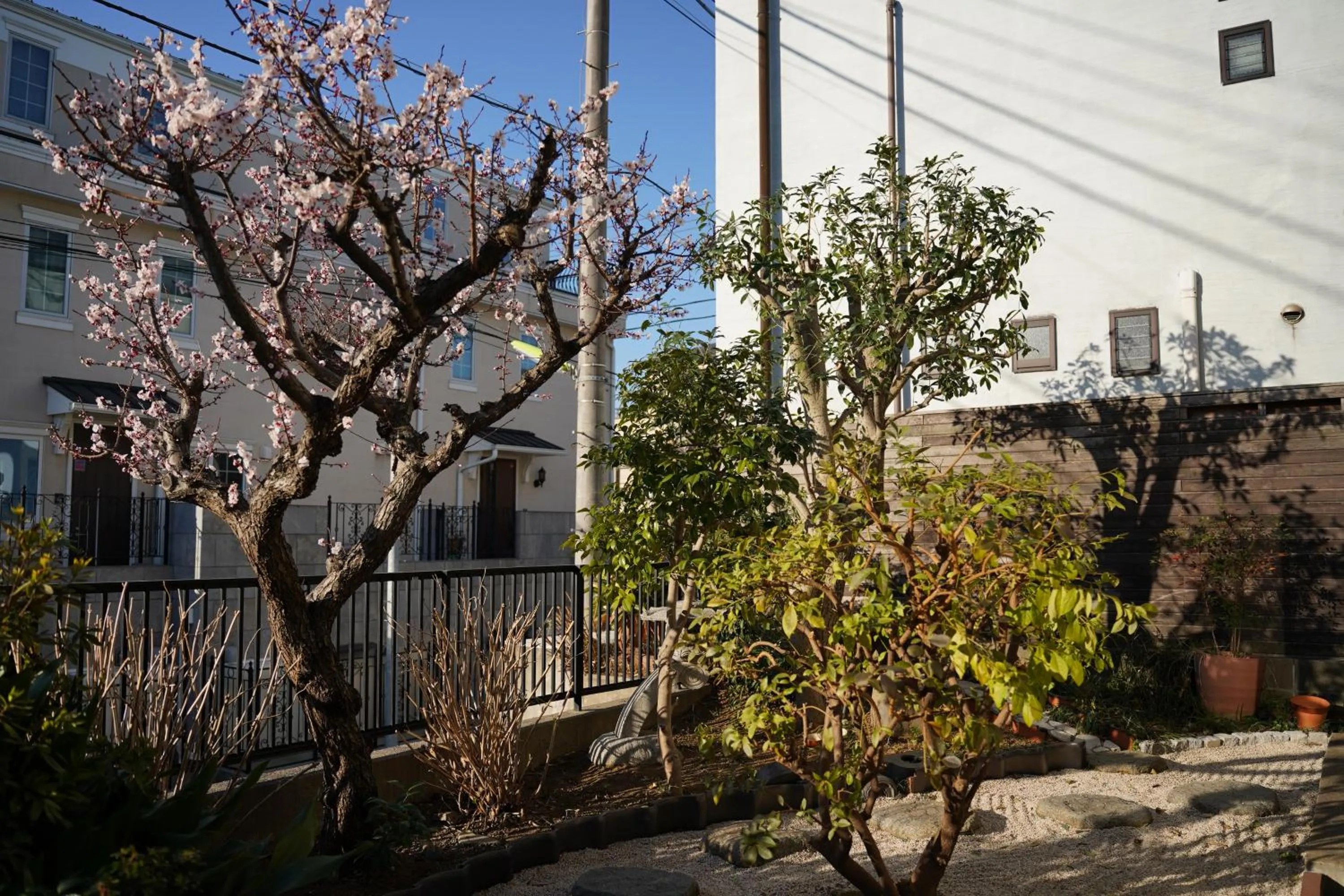 Spring in Shimokitazawa Akima