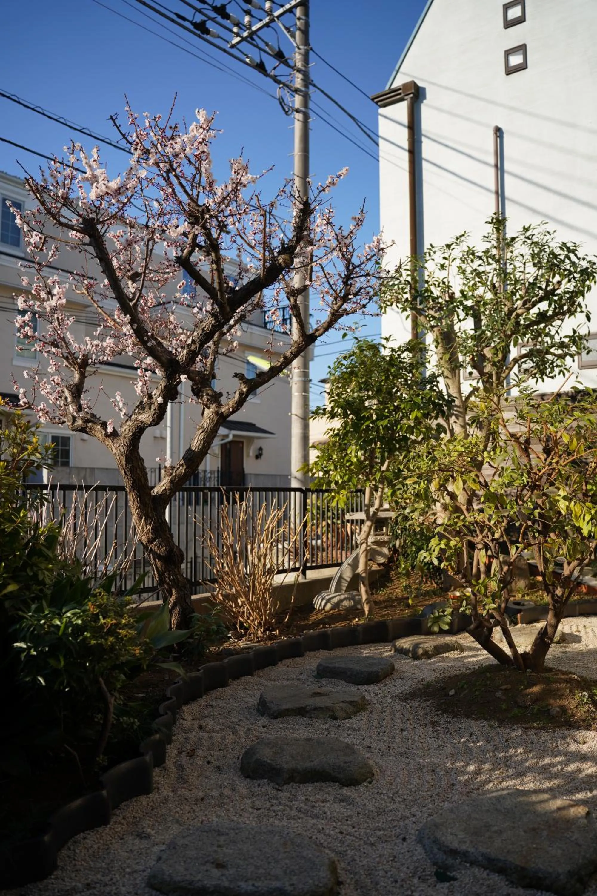 Spring in Shimokitazawa Akima