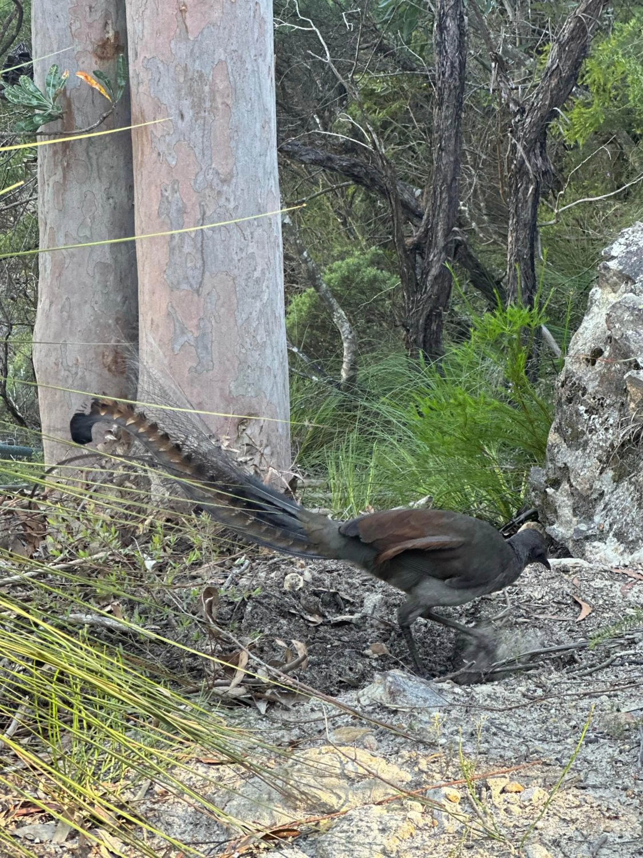 Valley of the Waters B&B