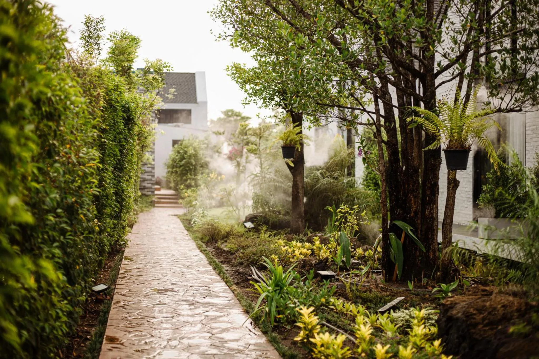 Natural landscape in Phuping Valley Resort