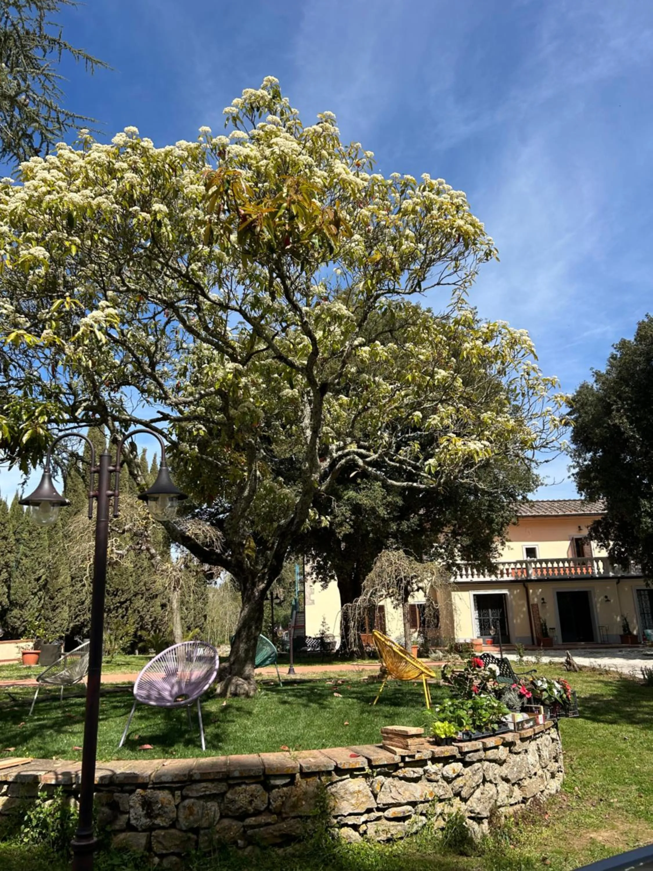 Spring in Villa Mucellena