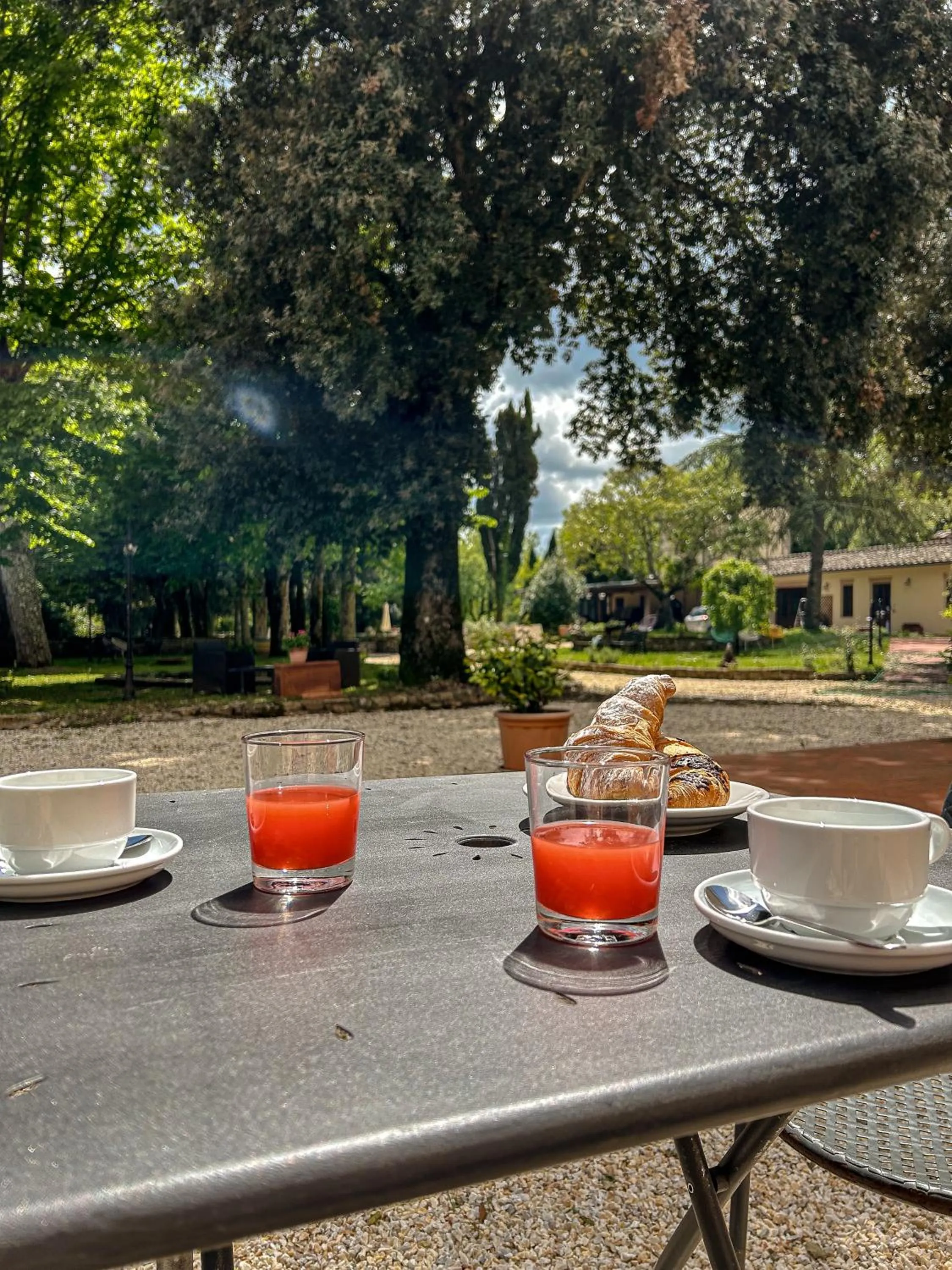 Garden in Villa Mucellena