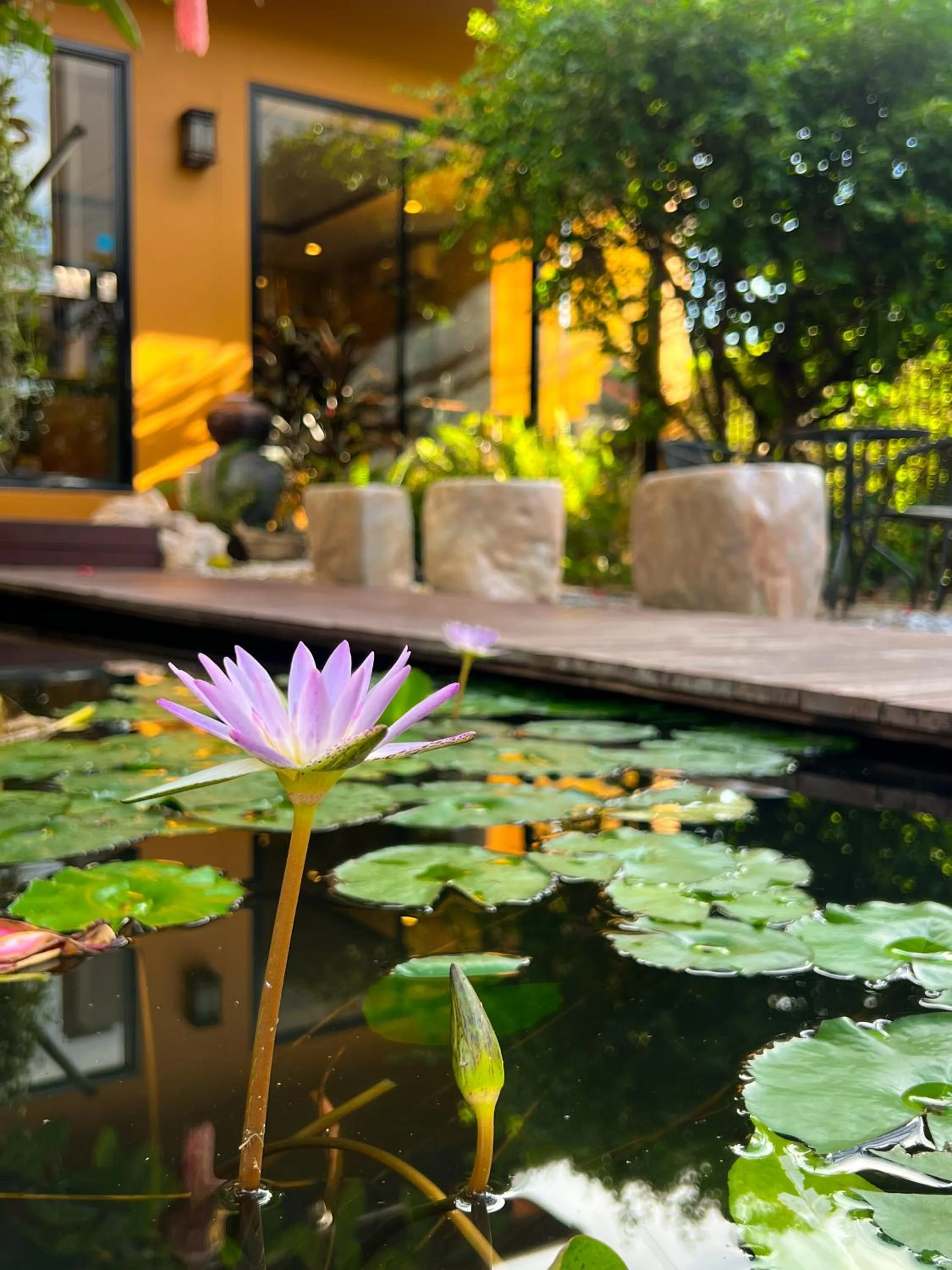 Garden in The Choice Hotel - Adults Only