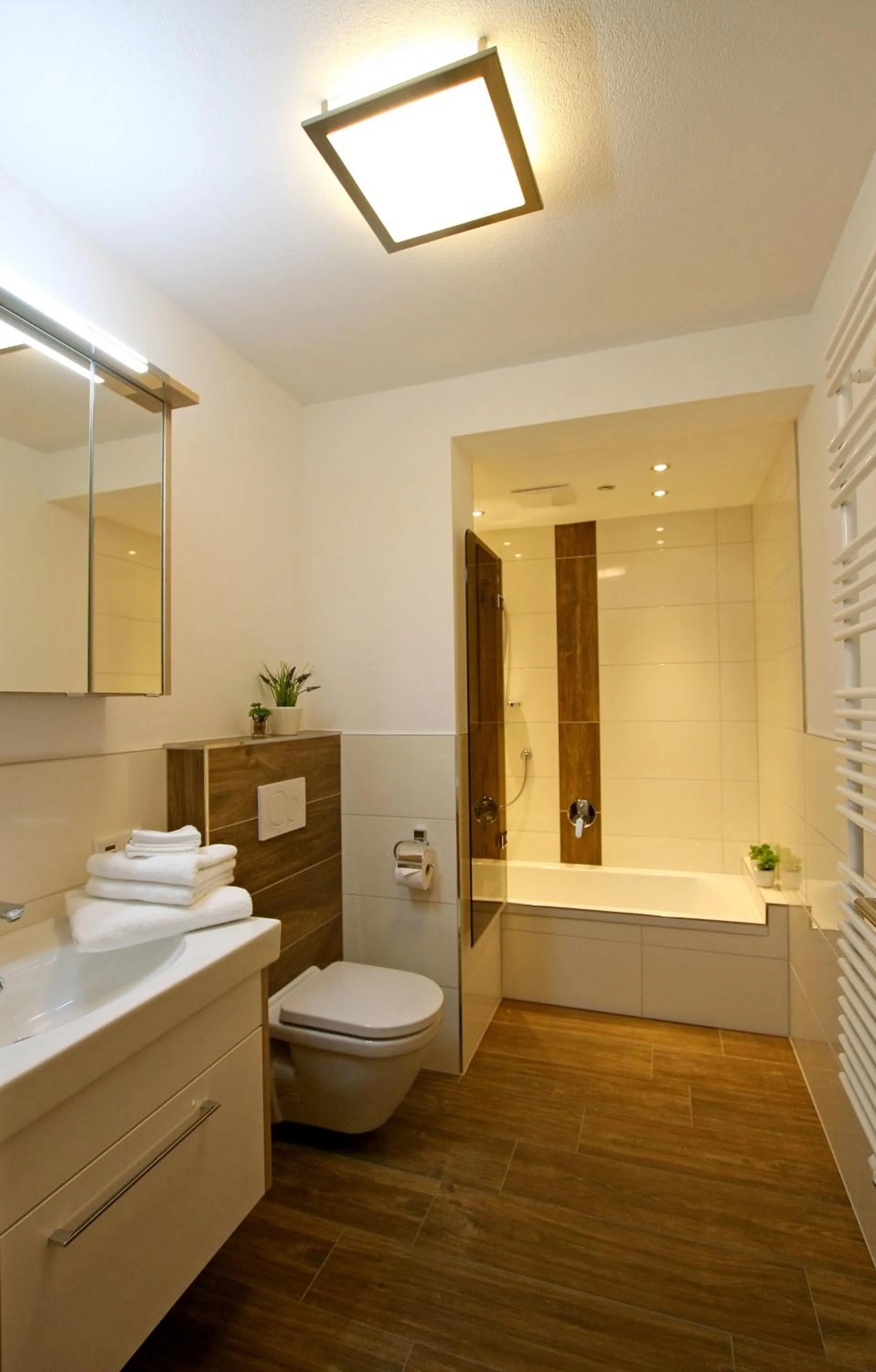 Shower in Appartement Matthias