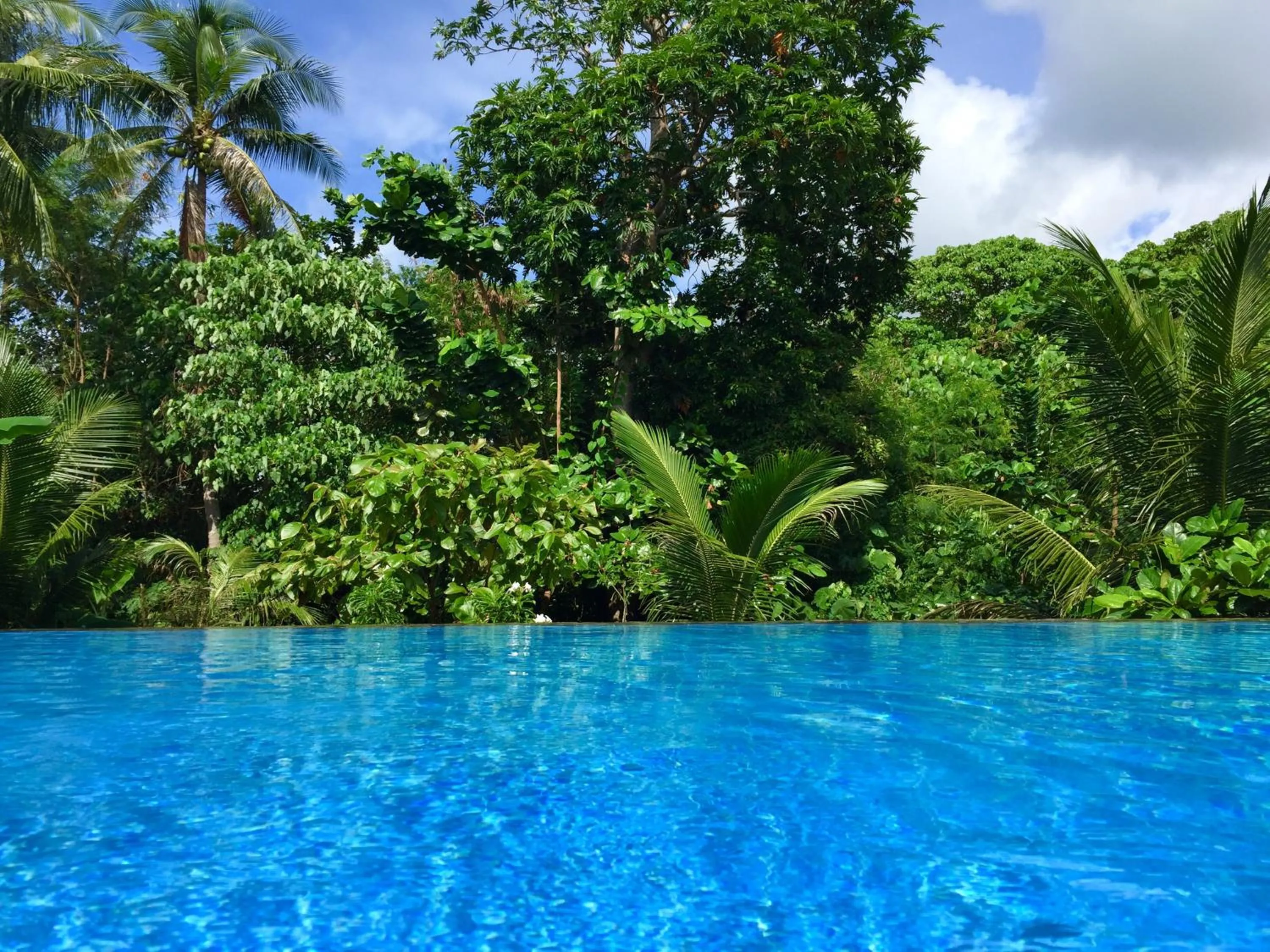 Swimming pool in Casa Amihan