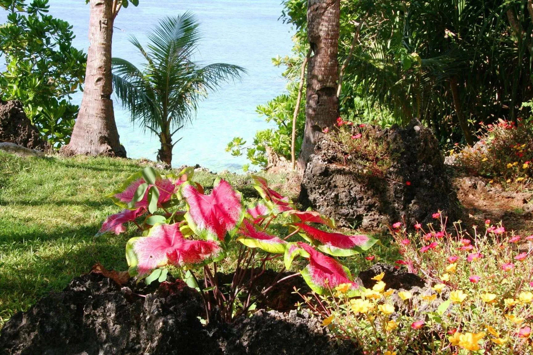 Area and facilities in Casa Amihan