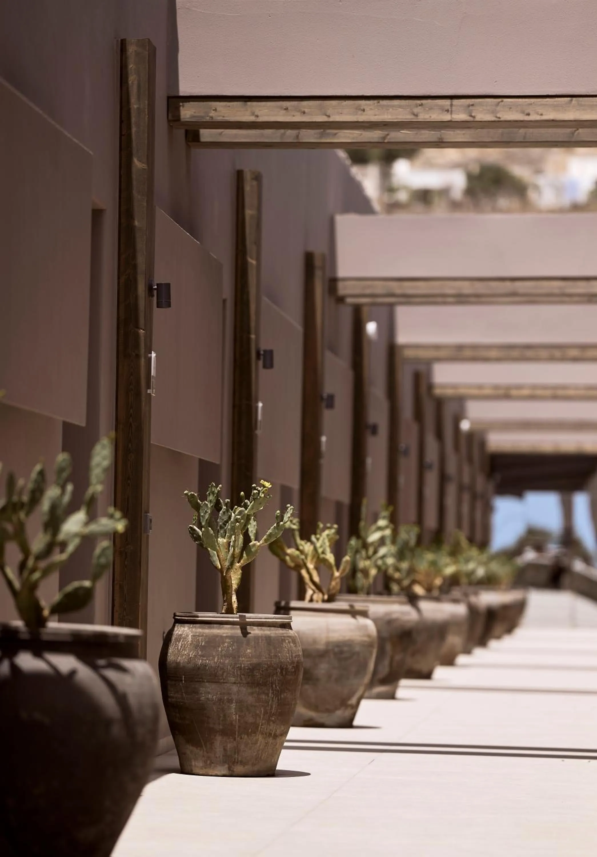 Property building in Ethereum Mykonos