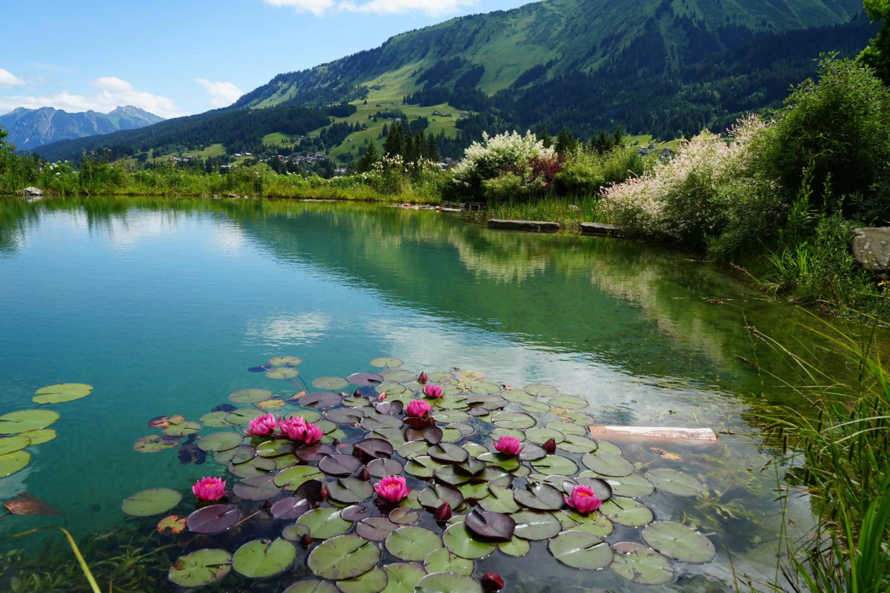 Lake view in Boutique Hotel Herzhof - Garni-Appartements - Adults Only