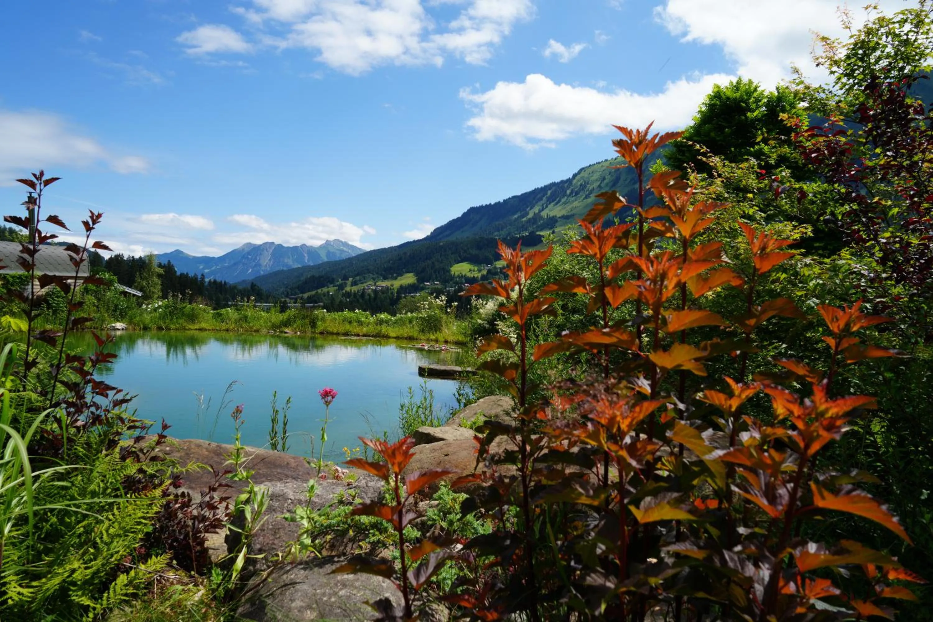 Nearby landmark in Boutique Hotel Herzhof - Garni-Appartements - Adults Only