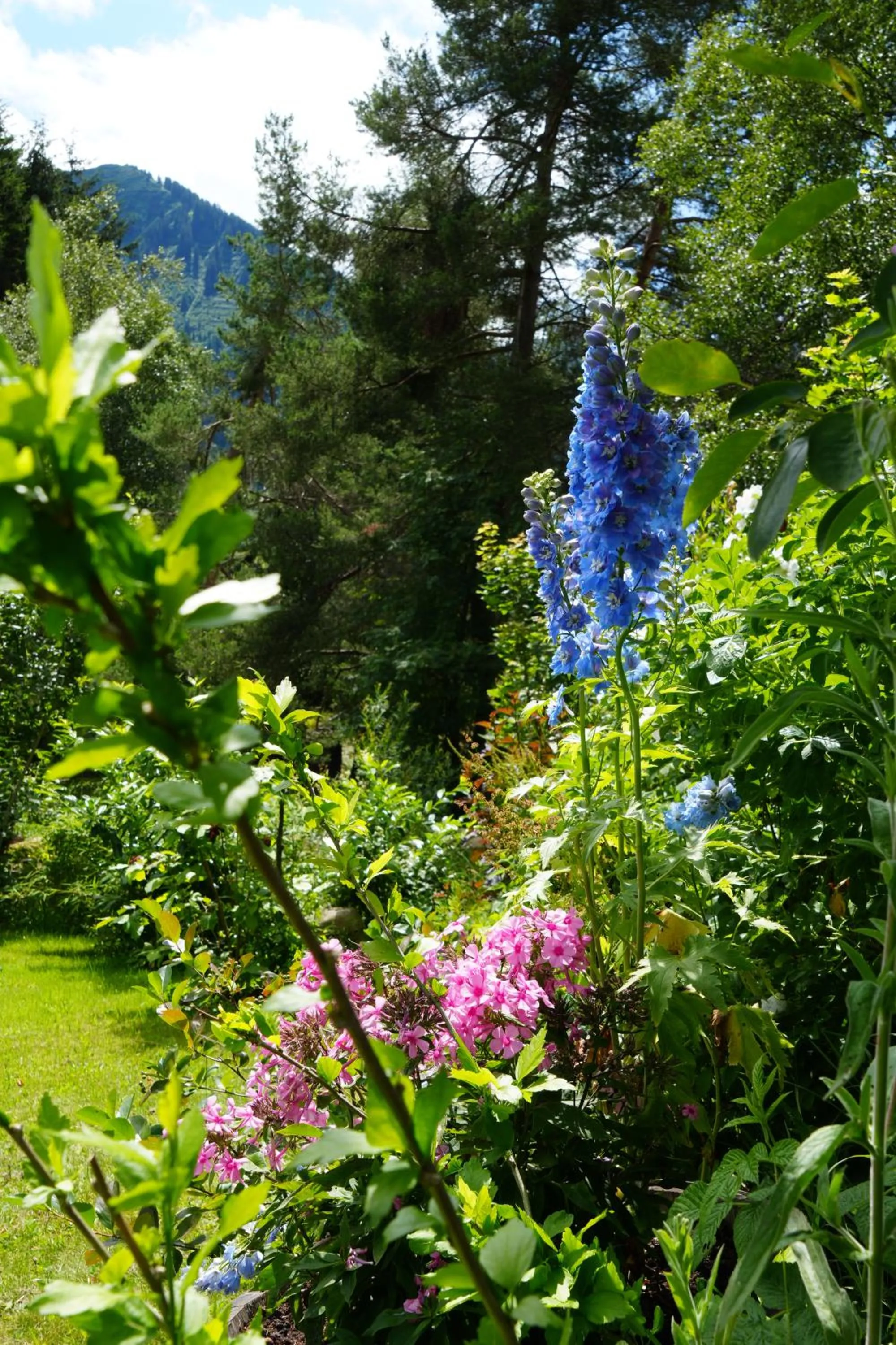 Natural landscape in Boutique Hotel Herzhof - Garni-Appartements - Adults Only