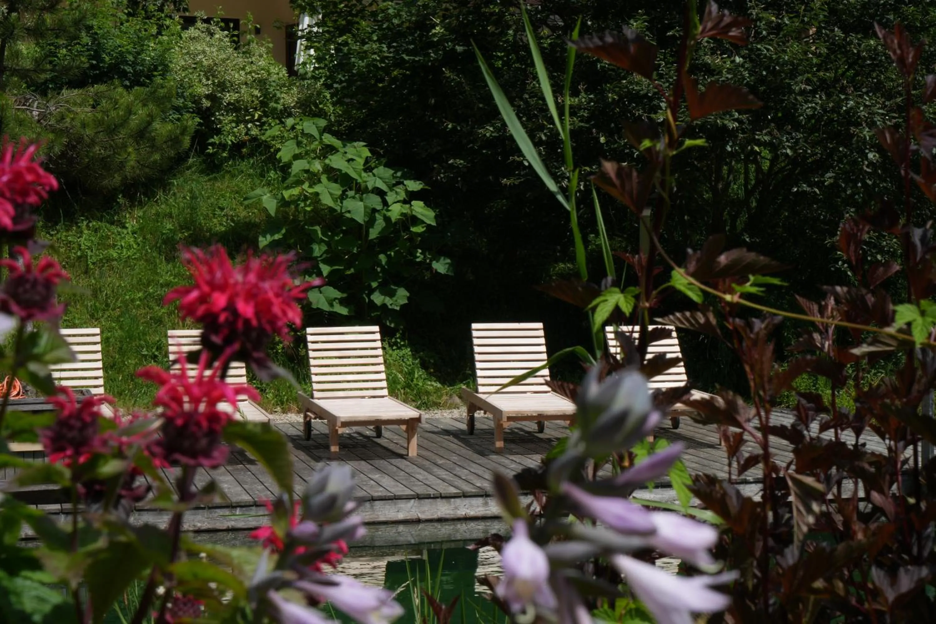 Garden in Boutique Hotel Herzhof - Garni-Appartements - Adults Only