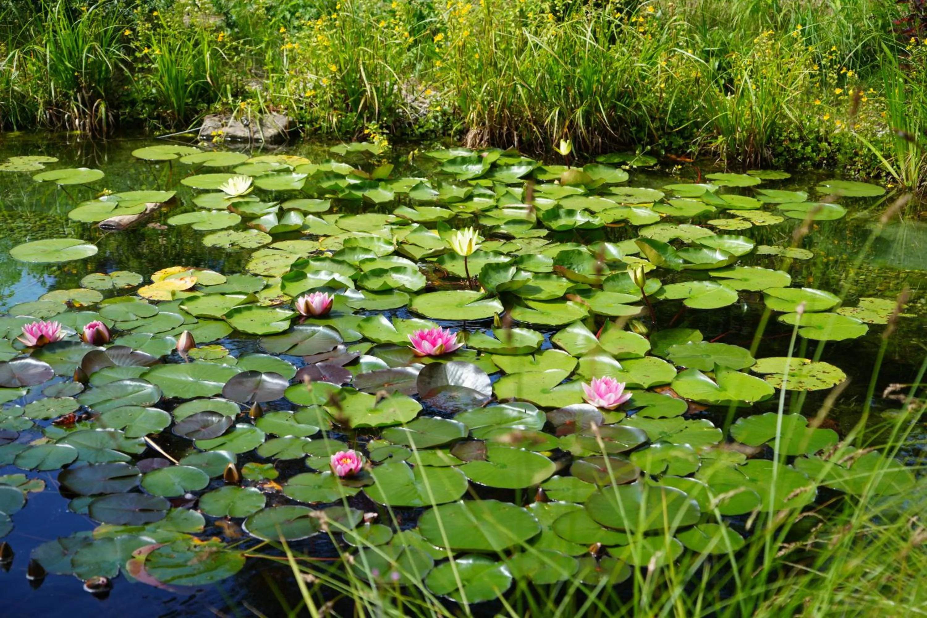 Day in Boutique Hotel Herzhof - Garni-Appartements - Adults Only