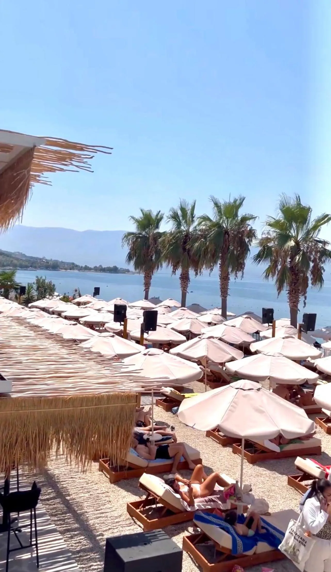 Beach in Coral Hotel & Resort