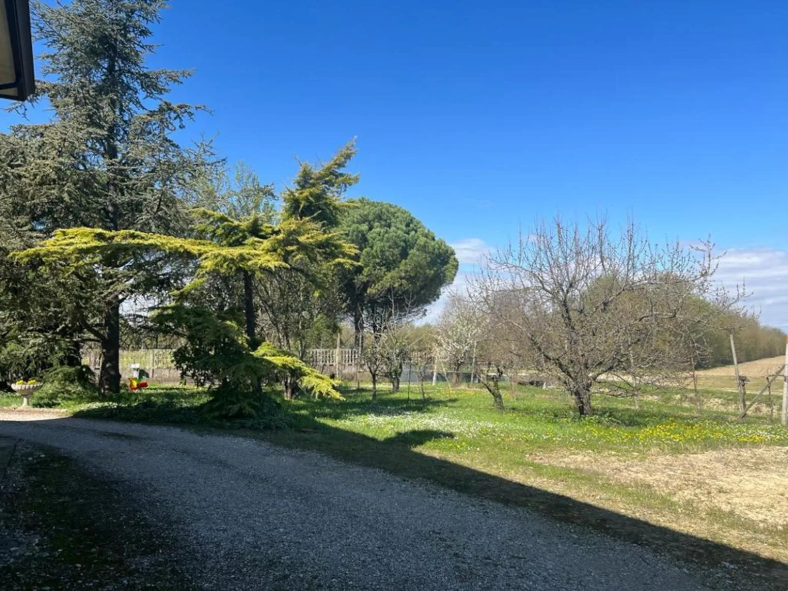 Garden in B&B Airport Venice Diego