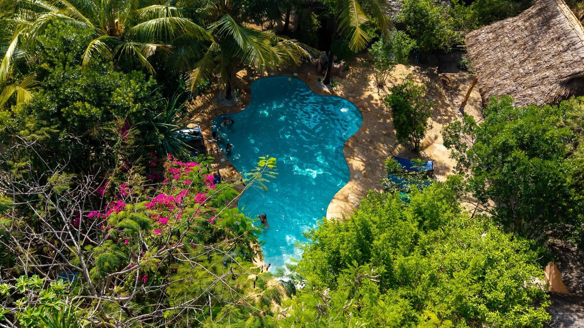 Bird's eye view in Demani Lodge Zanzibar