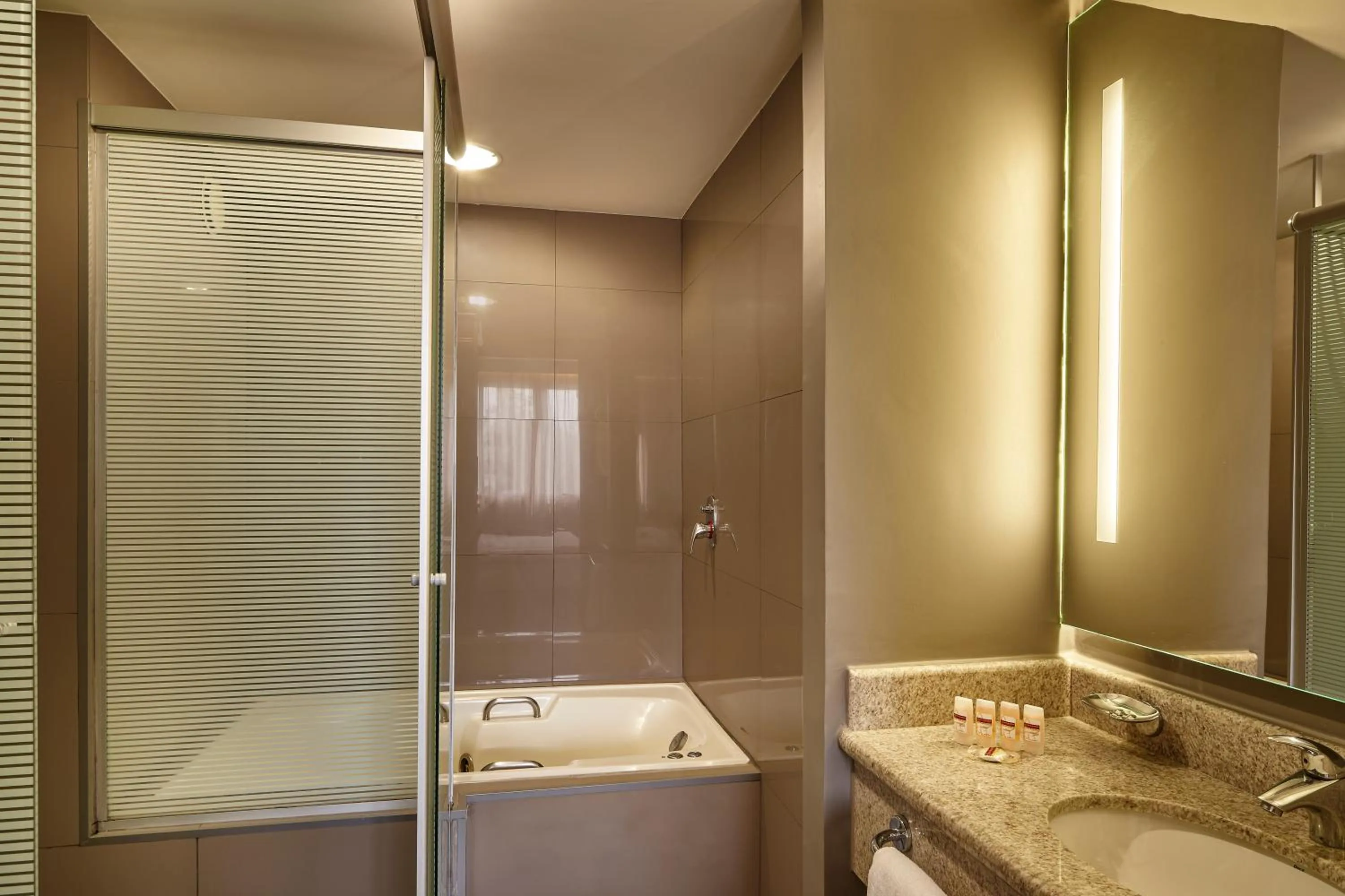 Shower in Novotel Sao Jose dos Campos