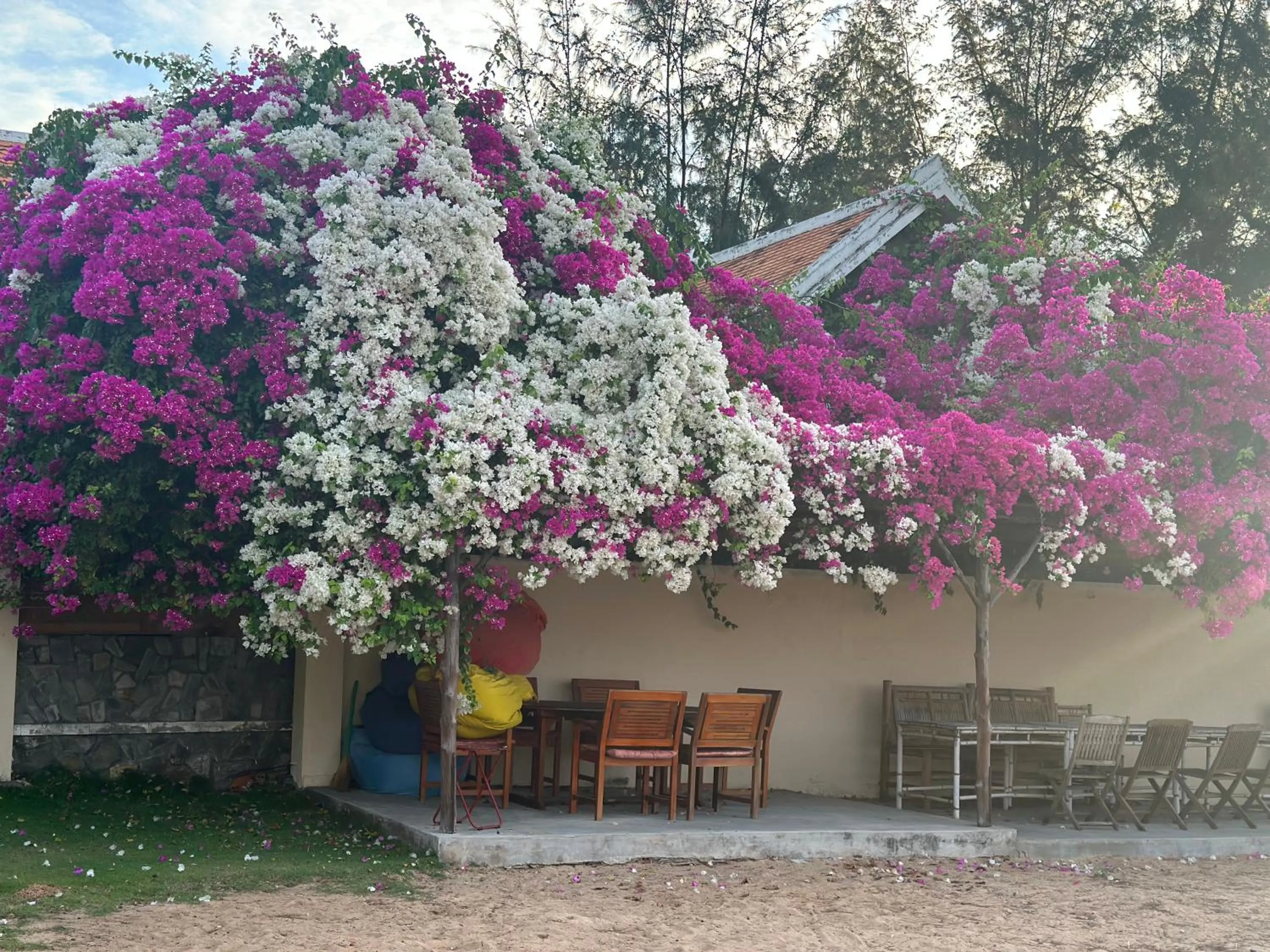 Orchid Boutique Beach Resort