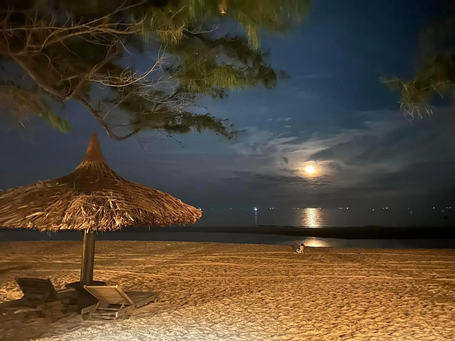 Orchid Boutique Beach Resort