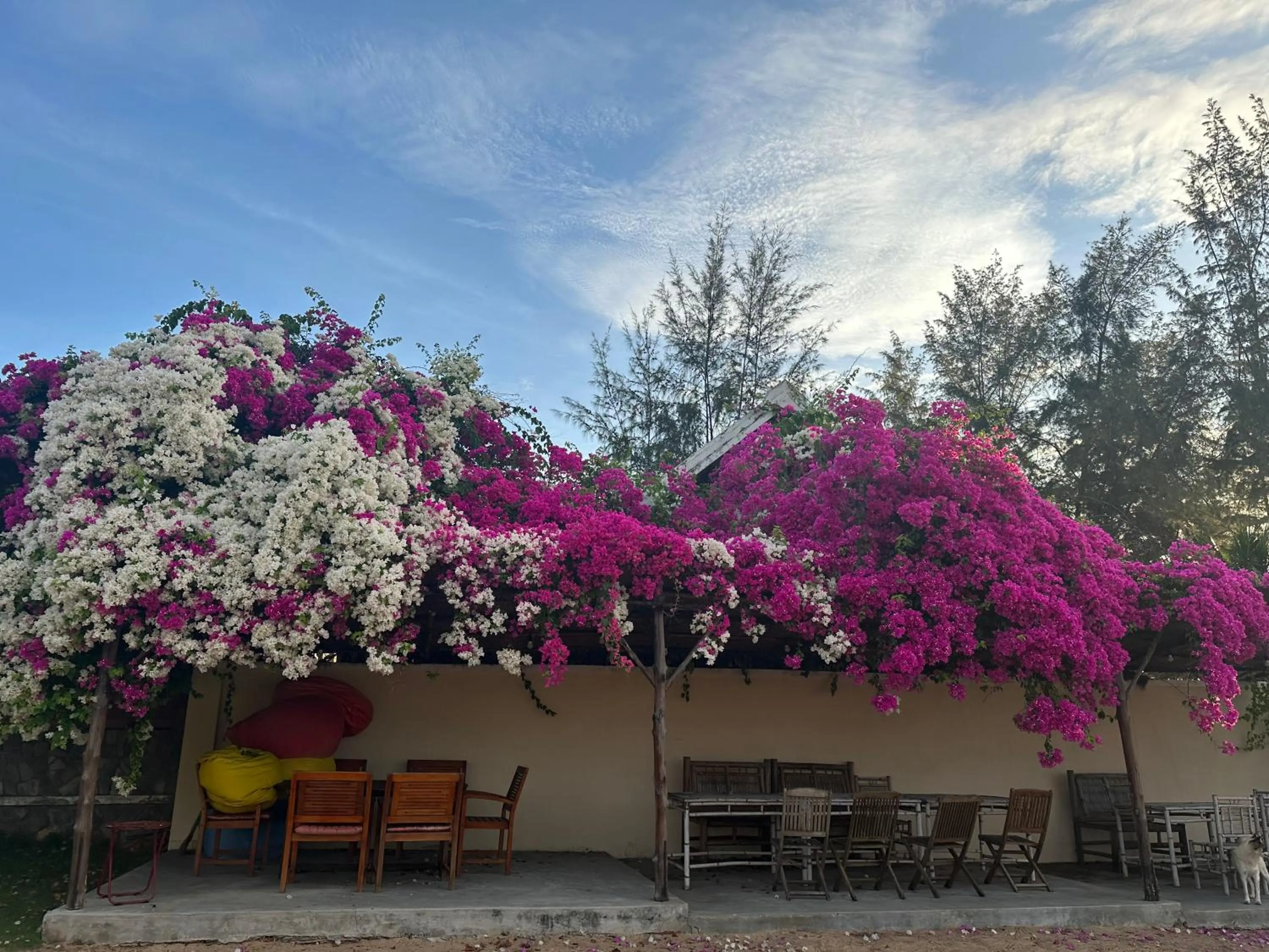 Orchid Boutique Beach Resort