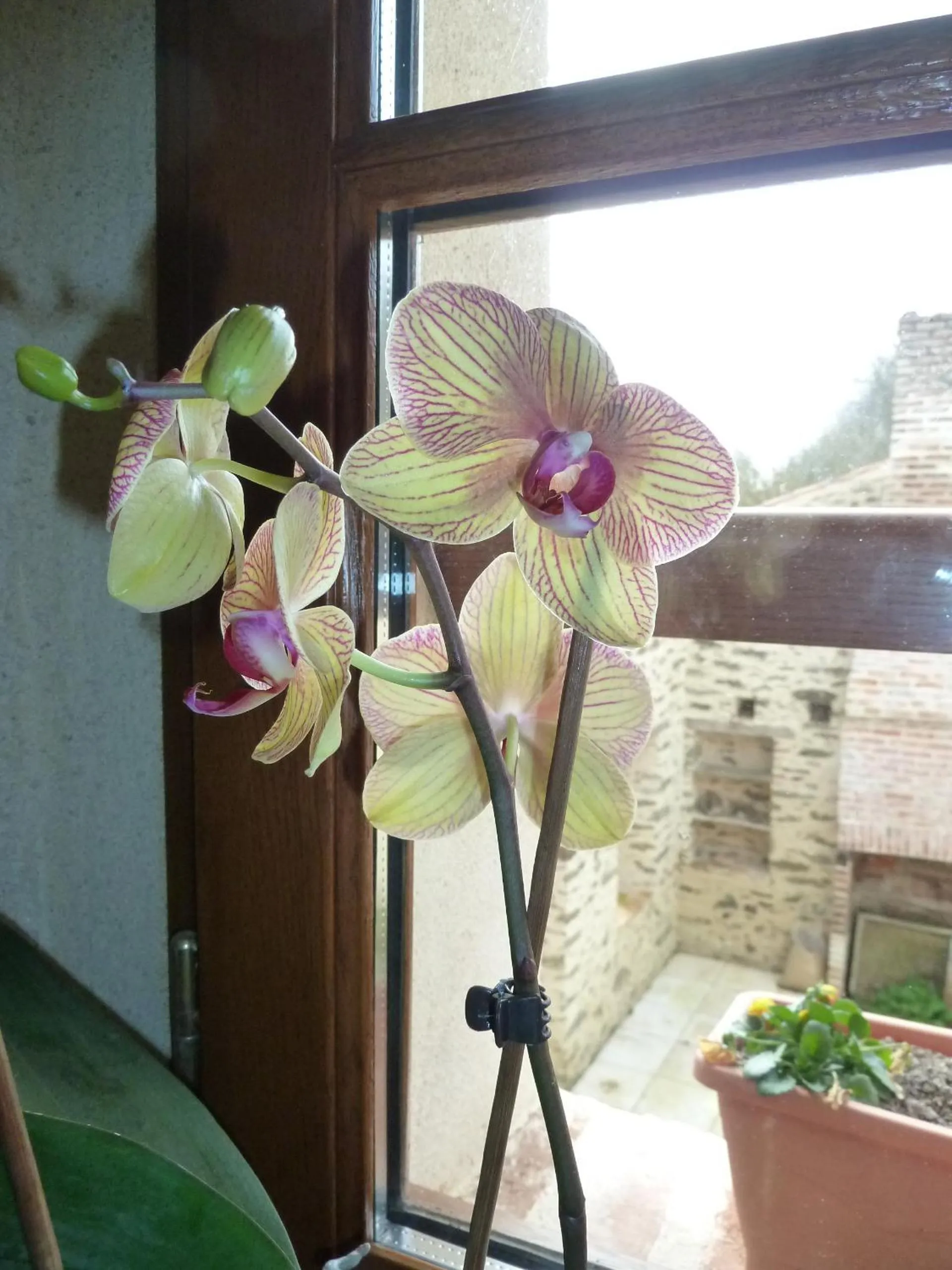 Decorative detail in Le Moulin de Drapras