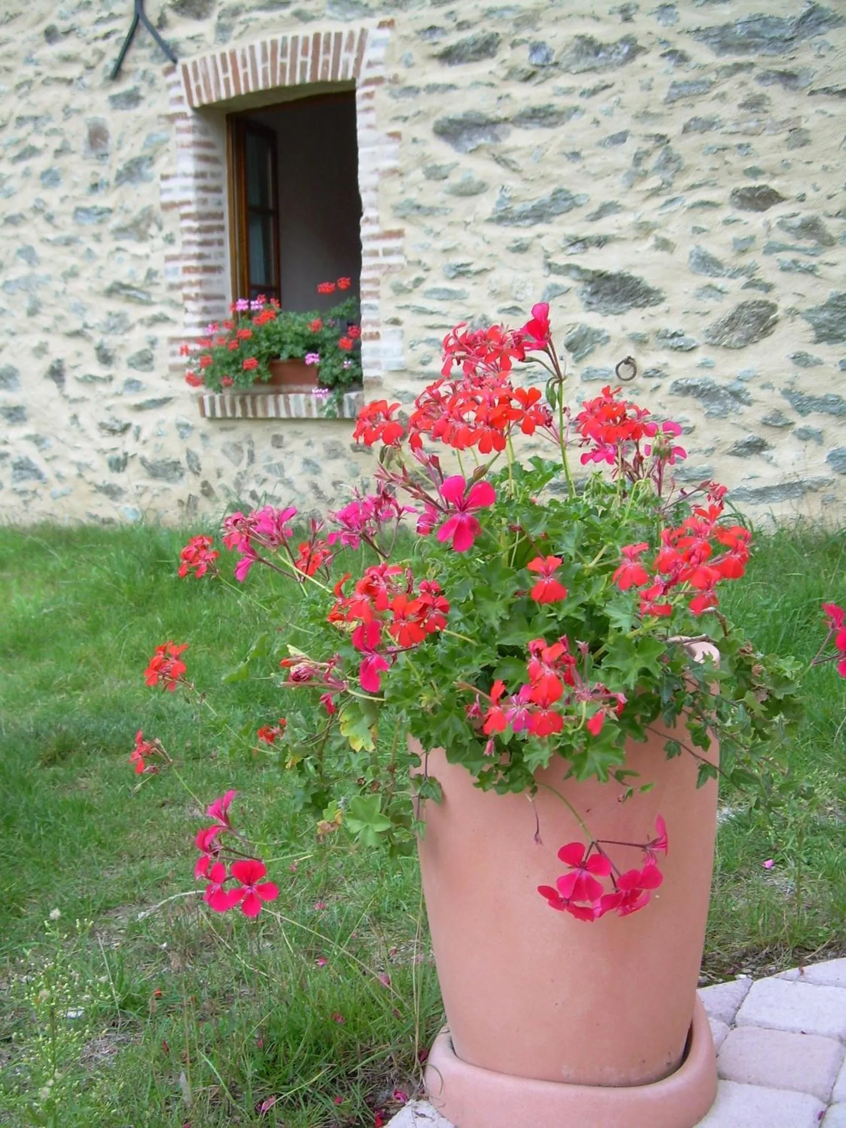 Garden in Le Moulin de Drapras