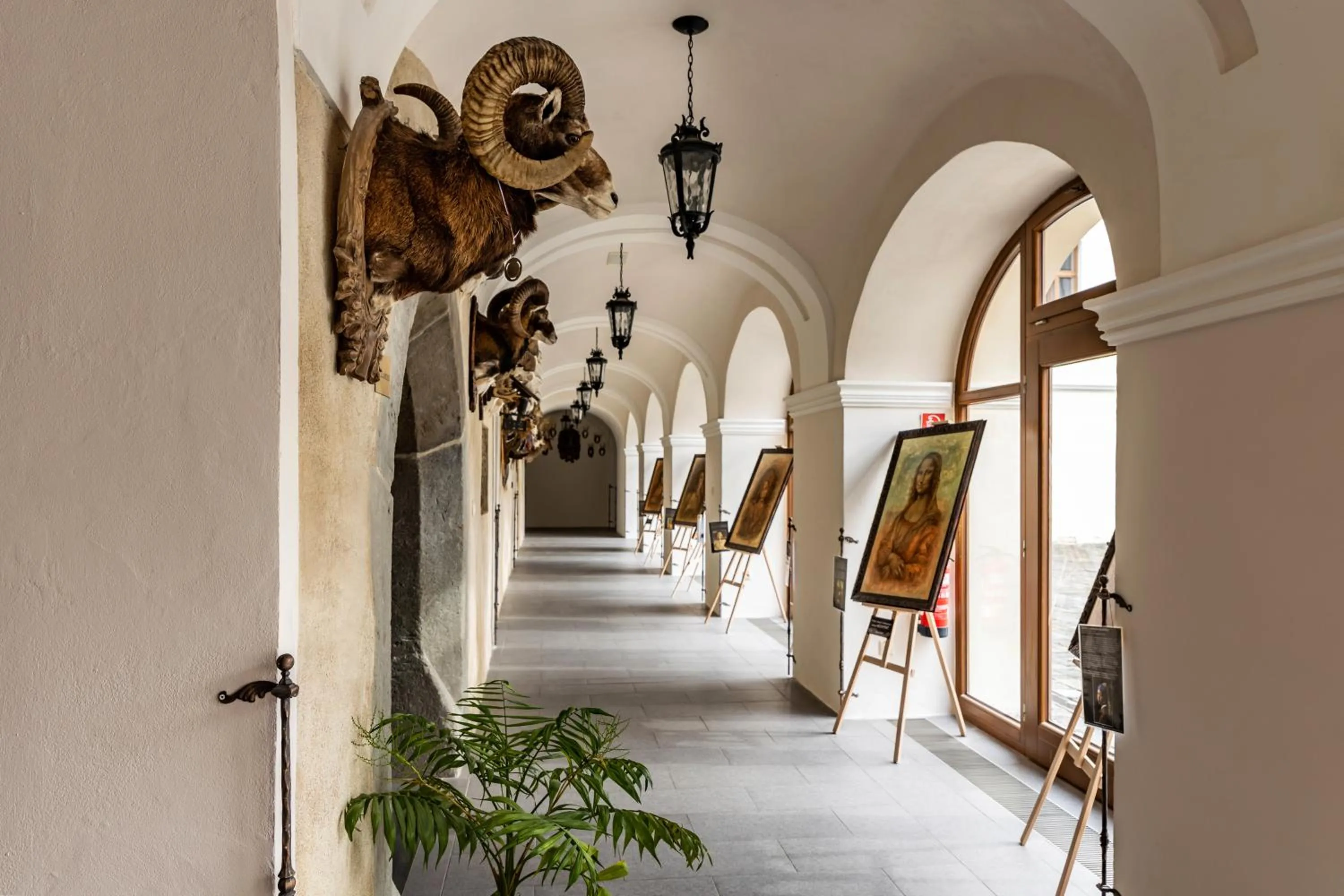 Area and facilities in Hotel Grand Vígľaš