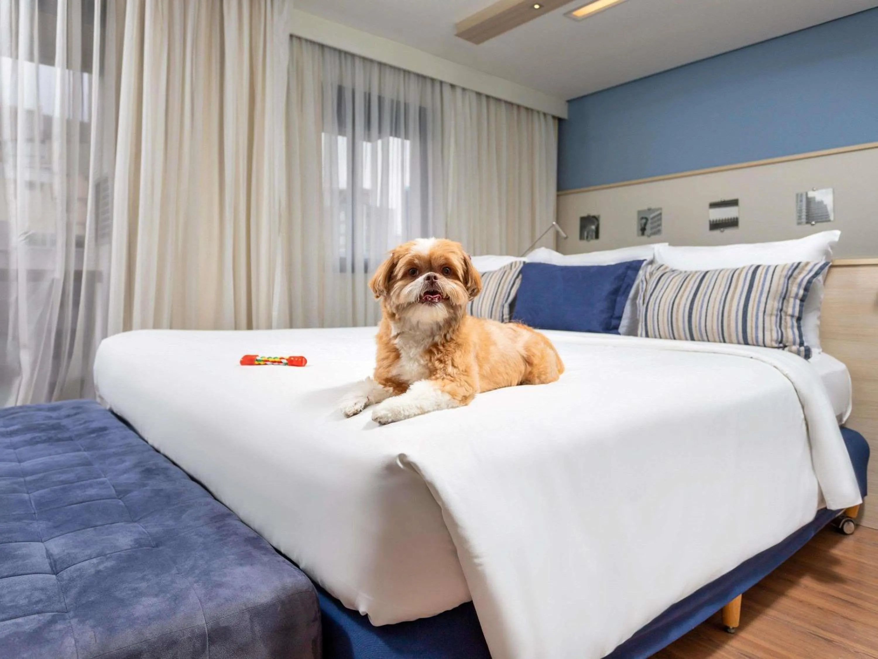 Property building, Bed in Mercure Sao Paulo Pamplona