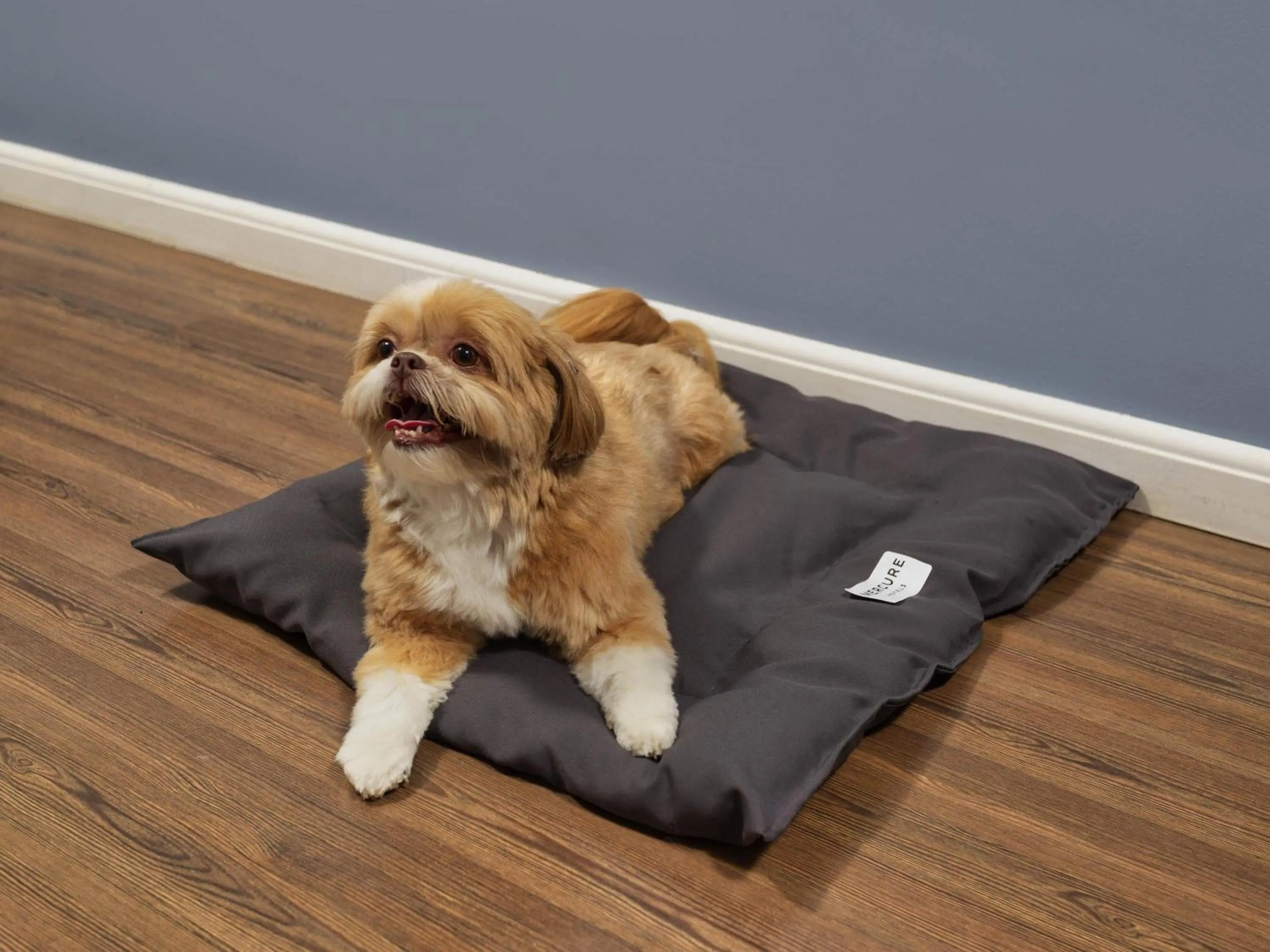 Bedroom in Mercure Sao Paulo Pamplona