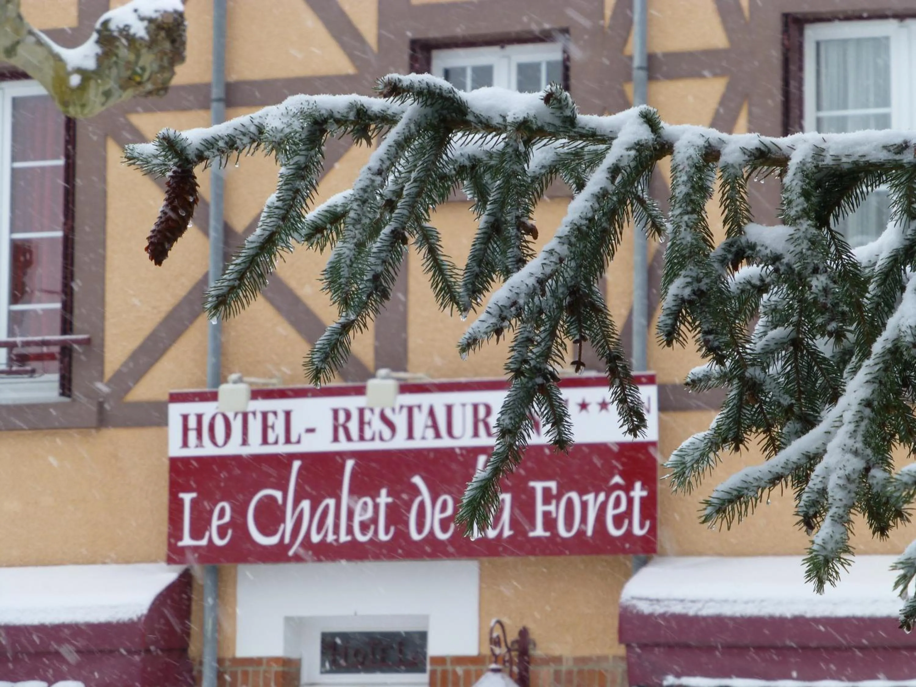 Decorative detail in Le Chalet de la Foret Hôtel 3 étoiles et Restaurant