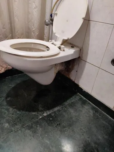 Toilet, Bathroom in Hotel Crystal Palace Meerut