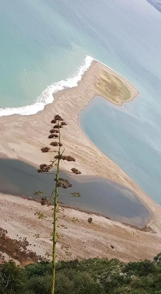 Day in B&B La Gatta Bianca