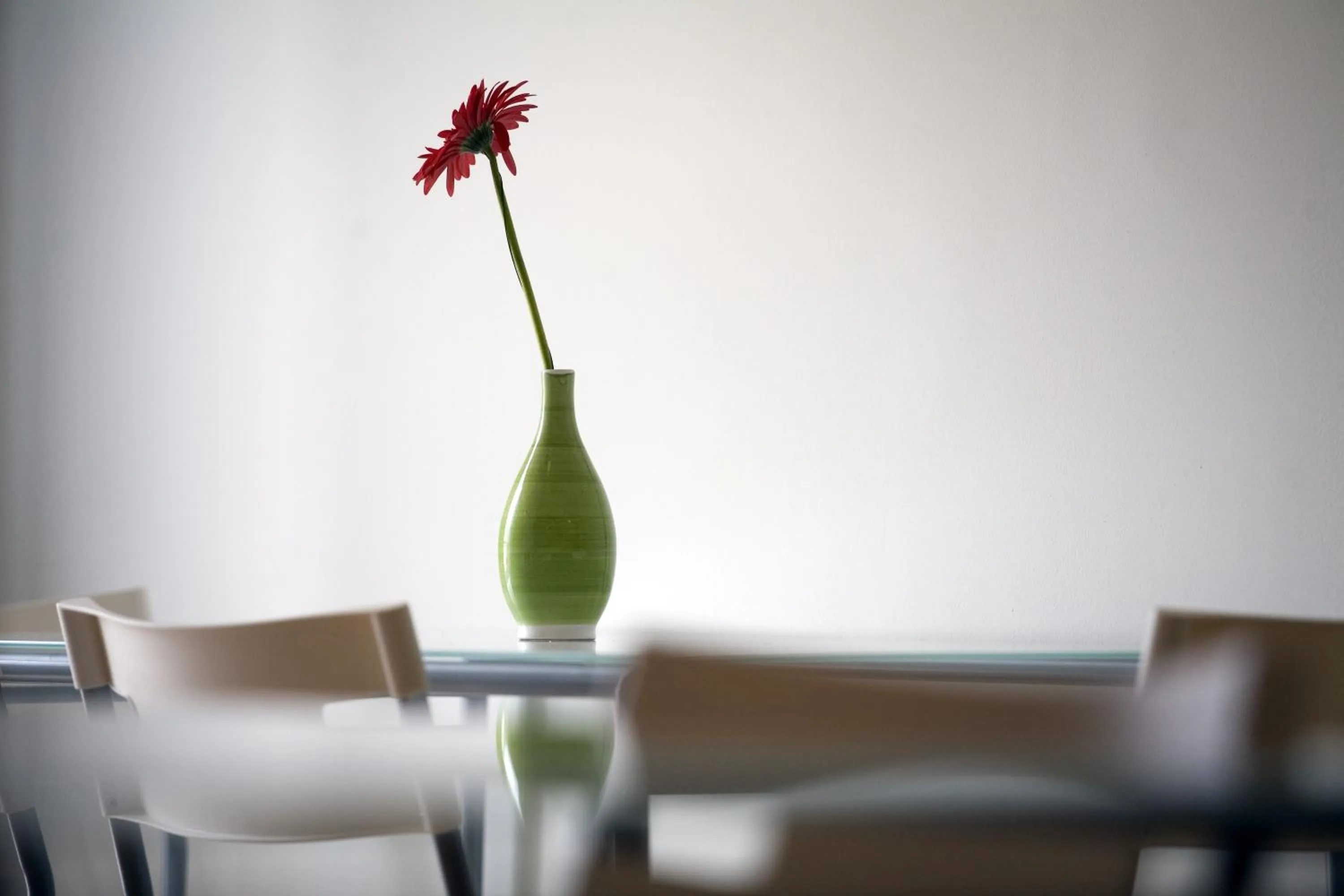 Communal kitchen in B&B La Gatta Bianca