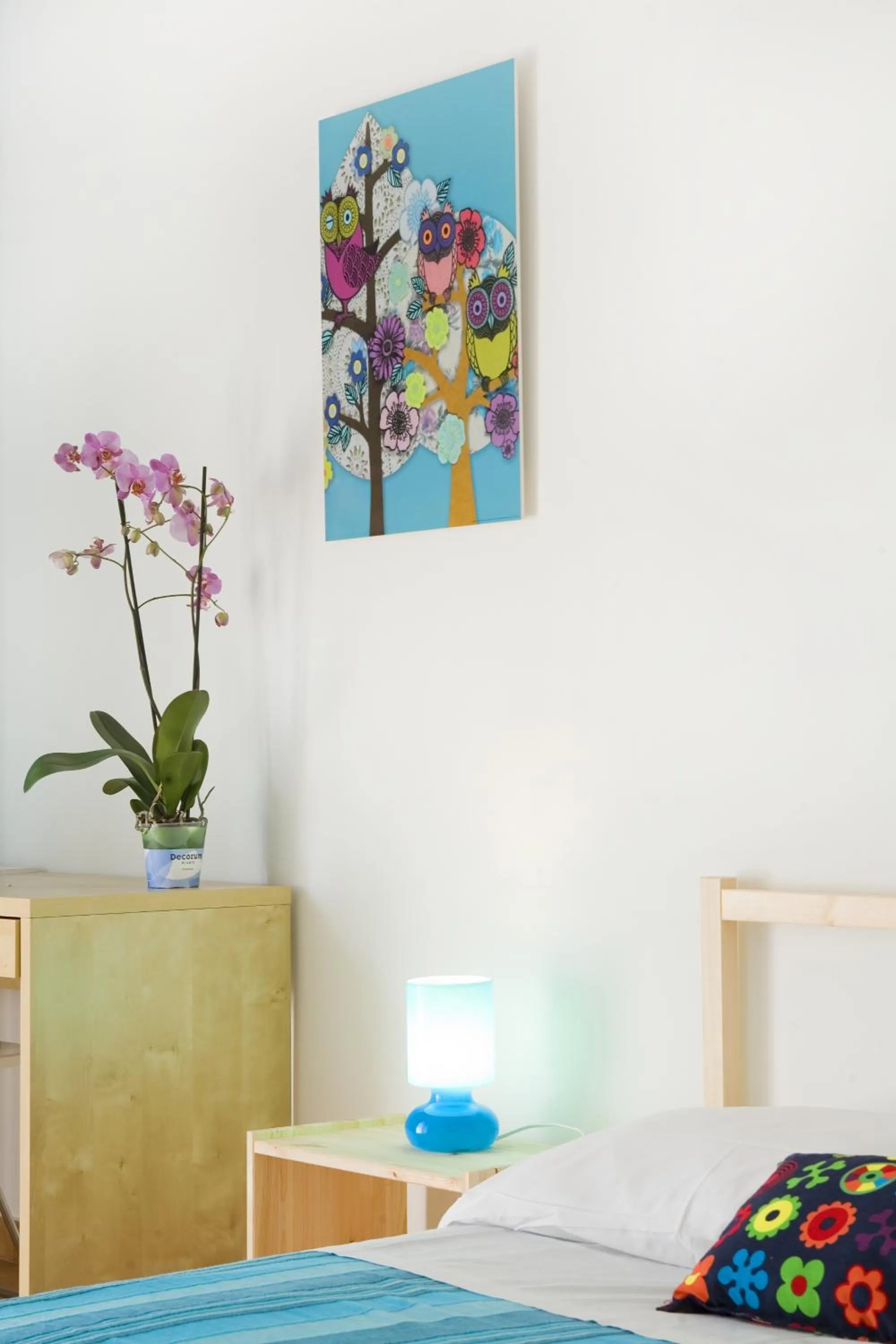 Communal kitchen, Bed in B&B La Gatta Bianca