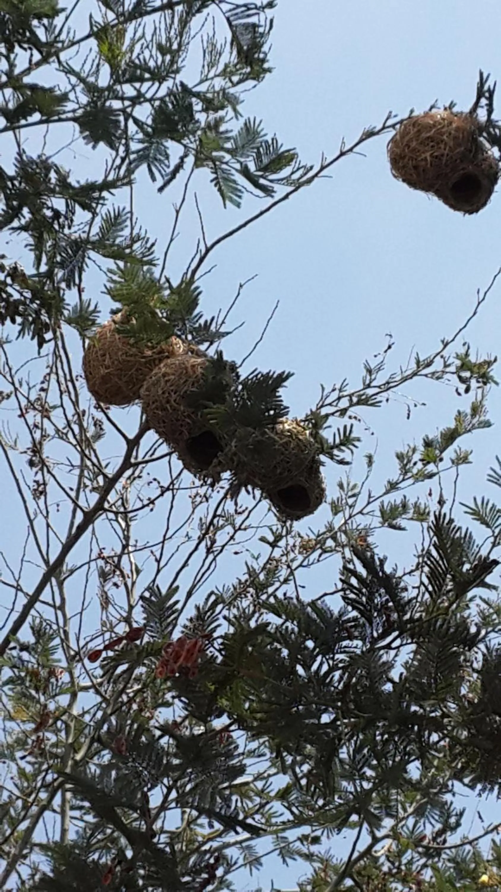 Eagle Nest Luxury Accommodation